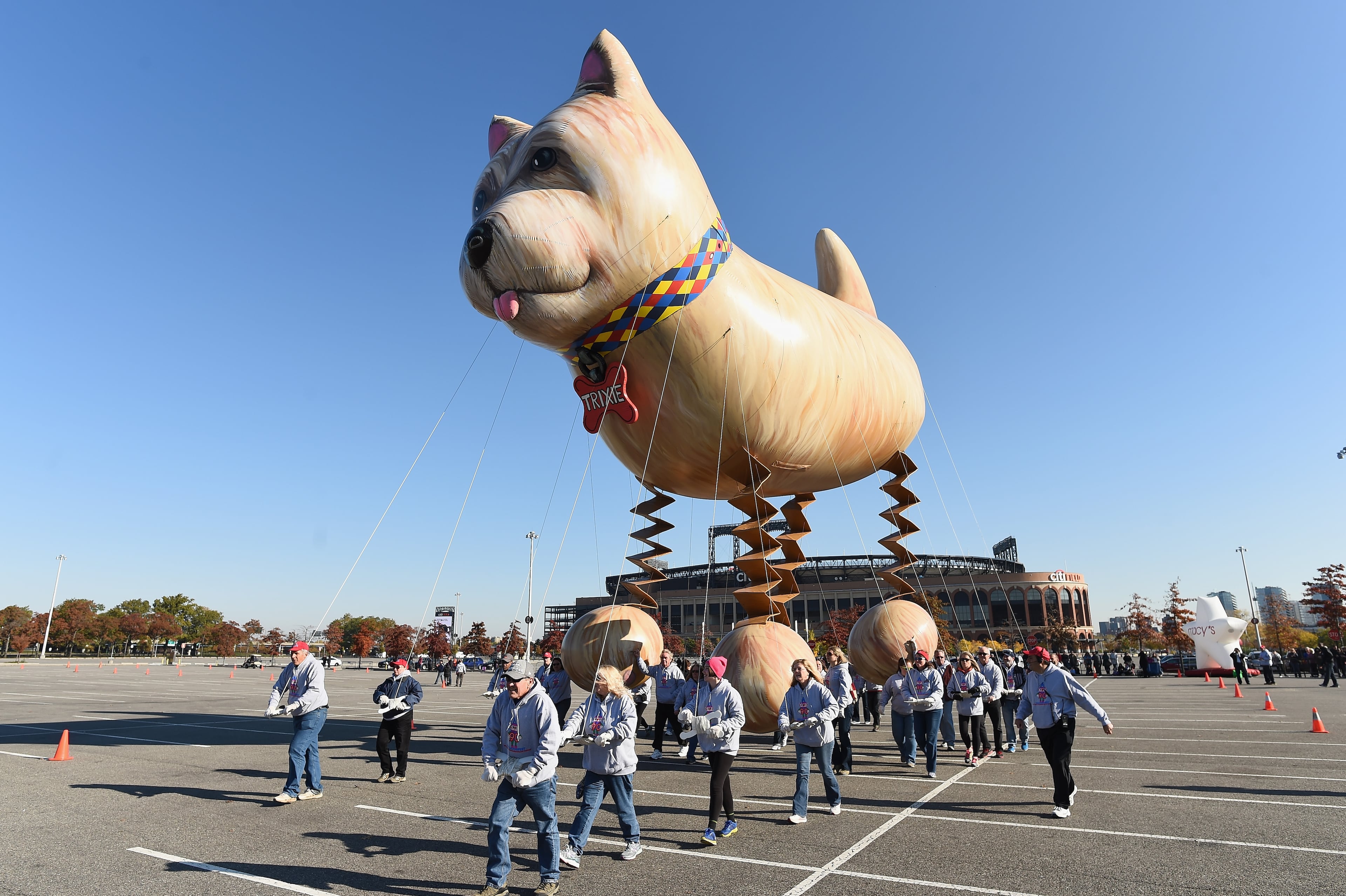 NEW YORK, NY - NOVEMBER 05: Trixie the Bouncing Dog flies at Macy's Balloonfest in preparation for the 90th Anniversary Macy's Thanksgiving Day Parade at Citi Field on November 5, 2016 in New York City. (Photo by Dave Kotinsky/Getty Images for Macy's Parade)