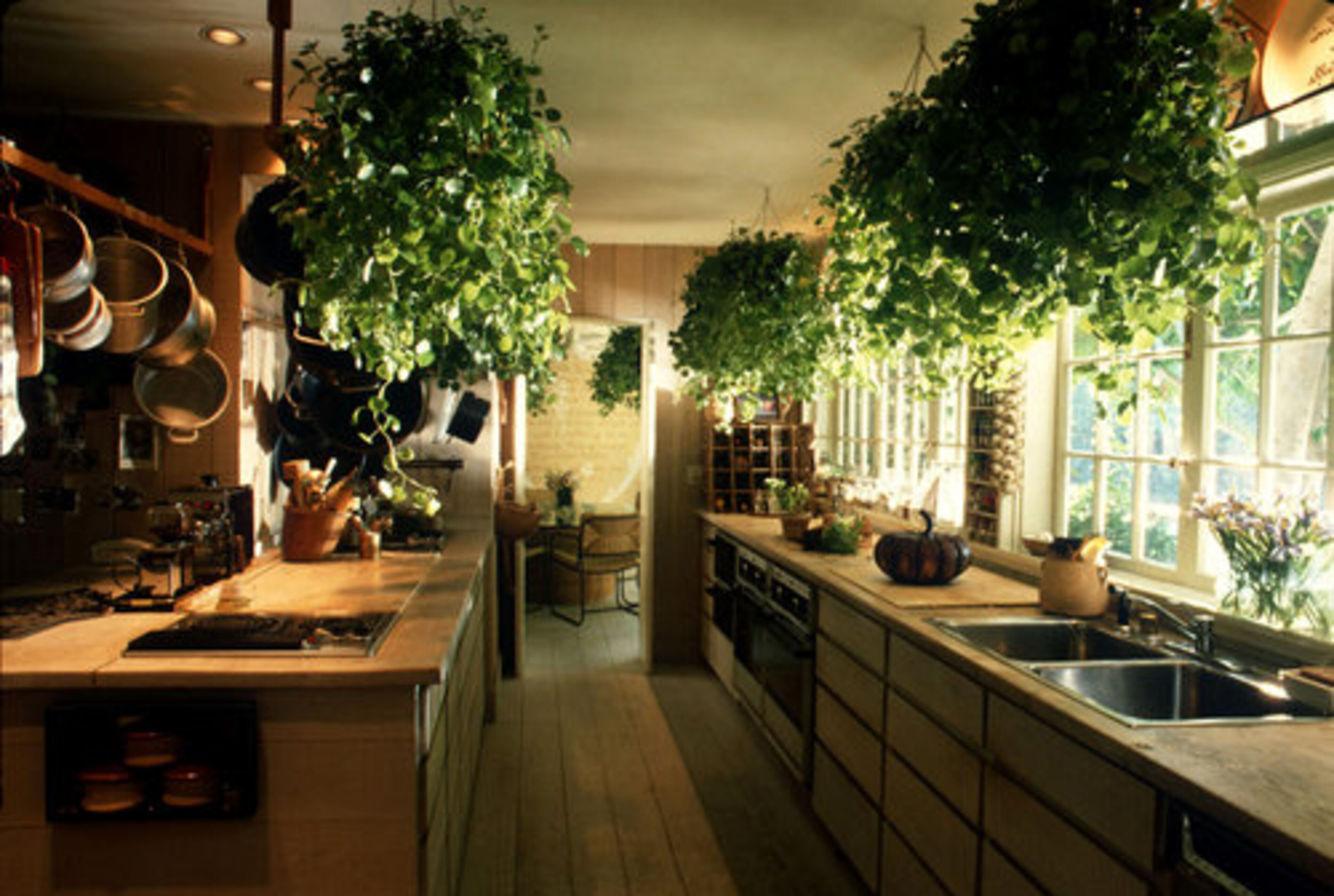 This kitchen exhibits positive Feng Shui. It is free of clutter, bathed in natural light and decorated with live plants.