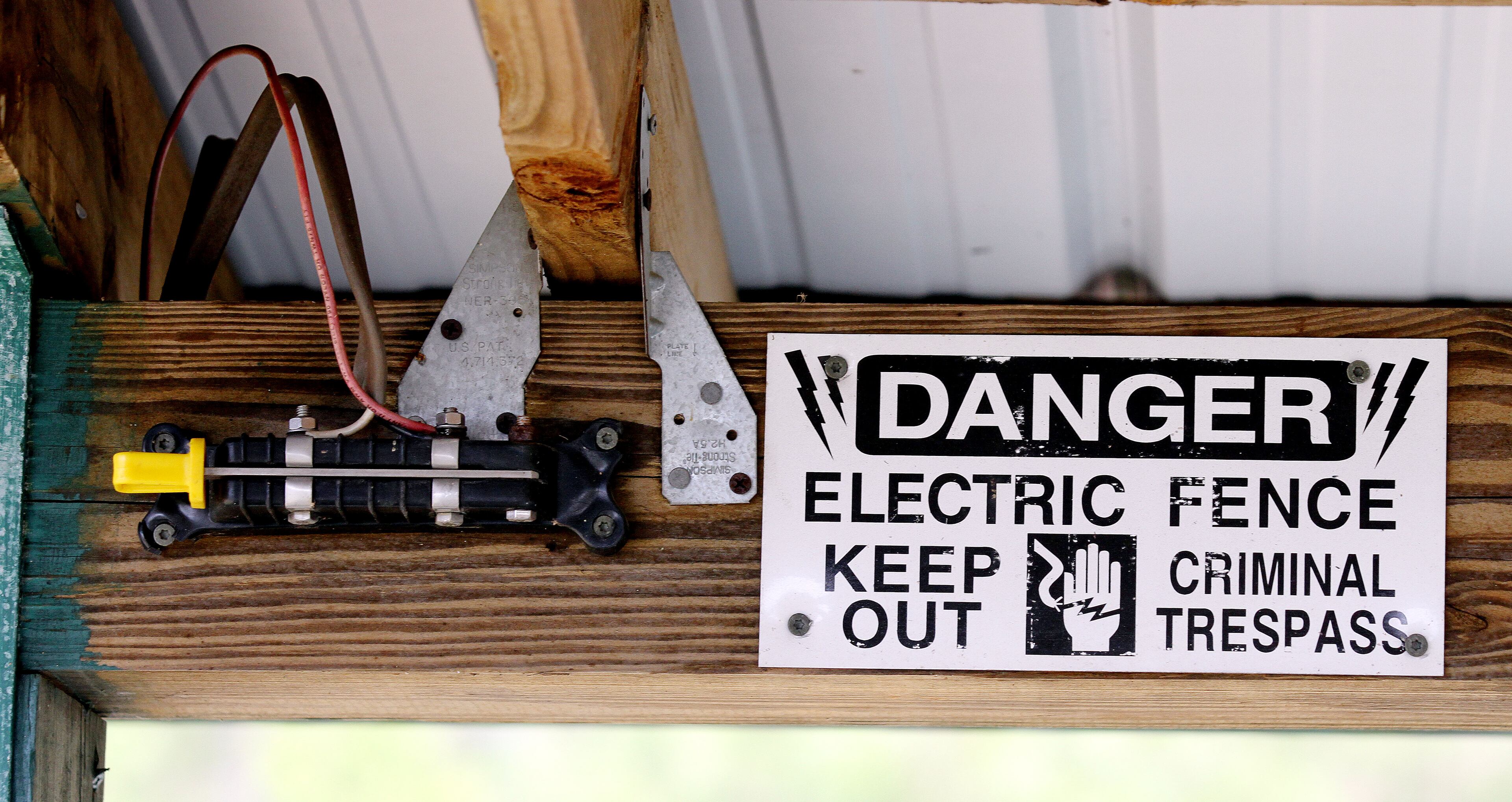 The gorilla enclosure is electrified at the Dewar Wildlife Refuge in Morganton.