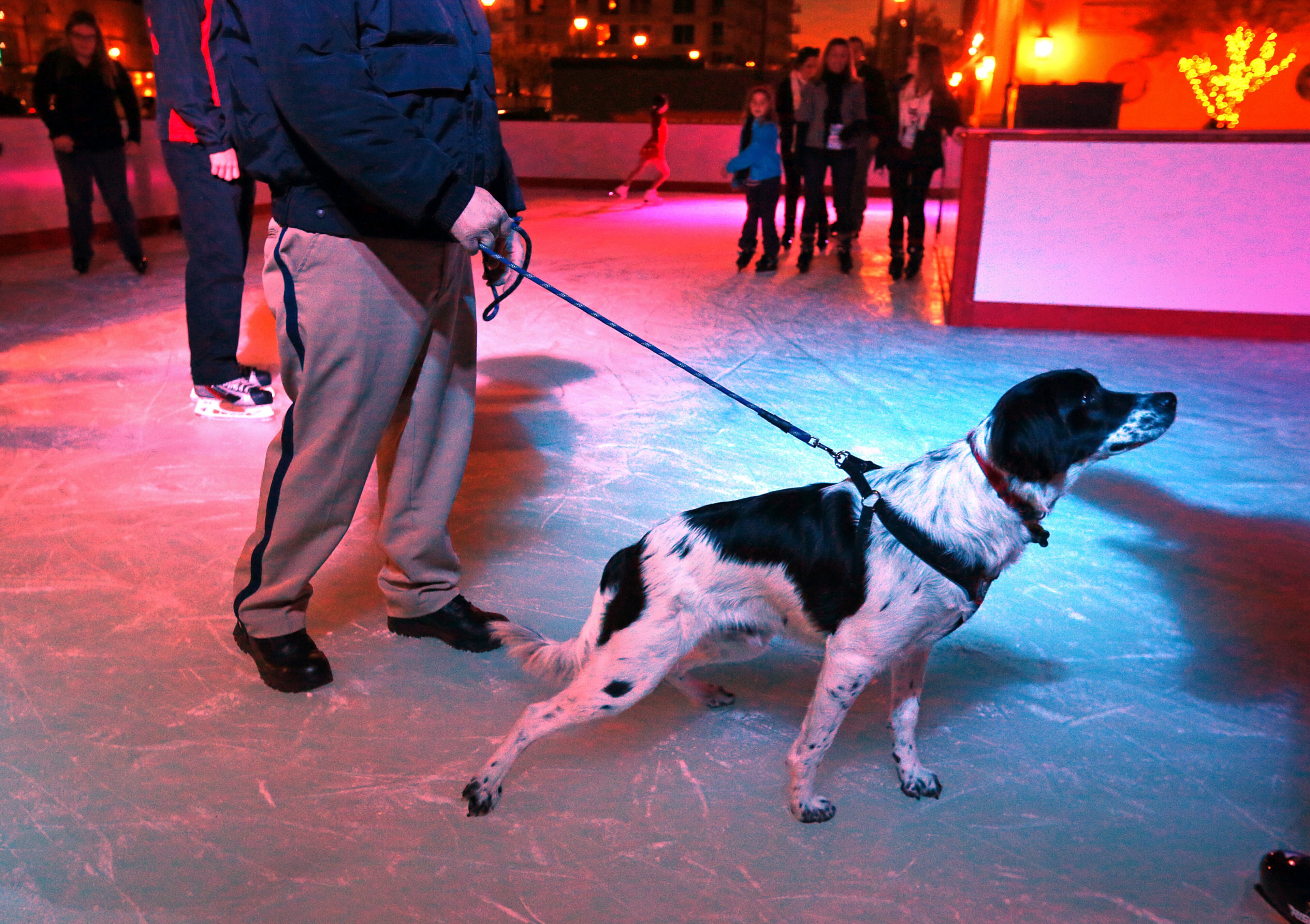 Atlantic Station security officer Donald Goolsby lets his dog "Spot" try out his footing on the ice at Skate Atlantic Station.