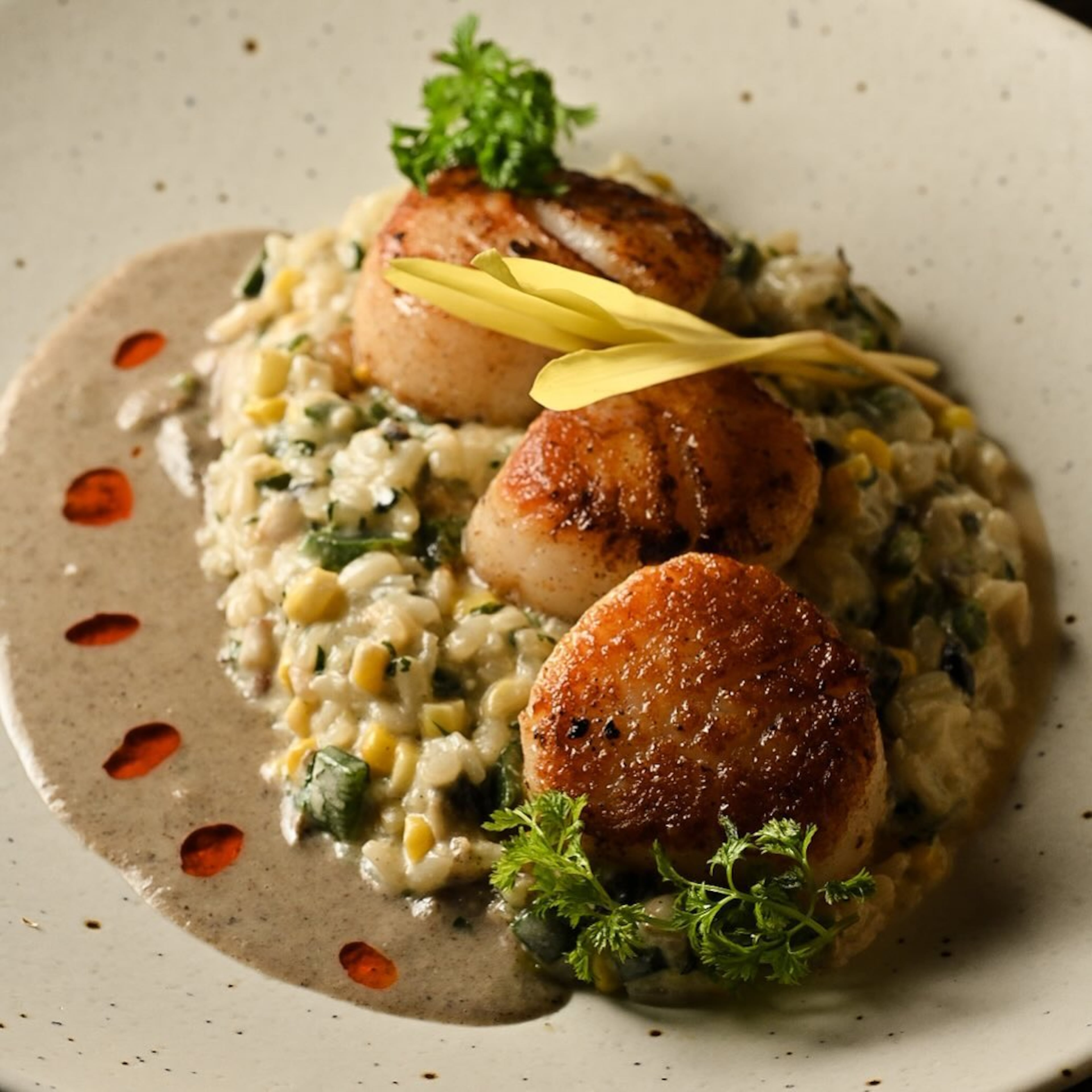 Pata Negra's Temporada de Lluvias features scallops over huitlacoche risotto. (Courtesy of Pata Negra)