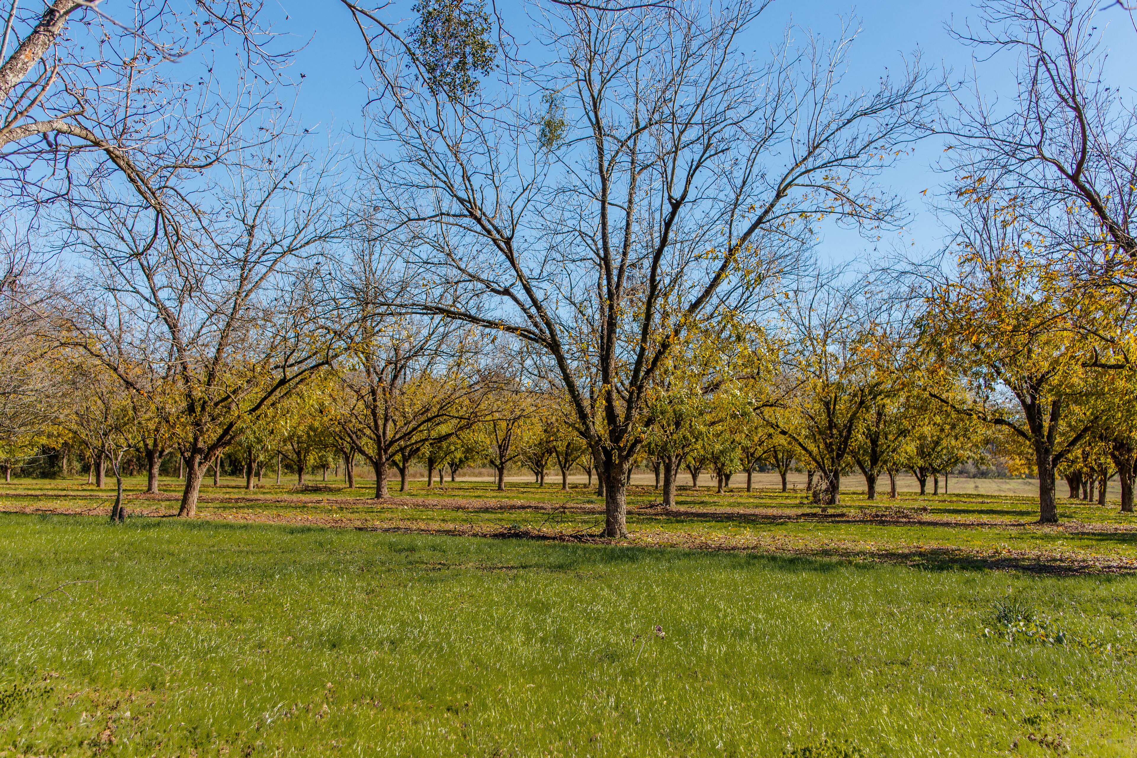 Located at 8355 Old Madison Road, this Quitman, Georgia estate is currently on the market for $2,100,000.
Courtesy of David Burnett and the Canopy Realty Group
