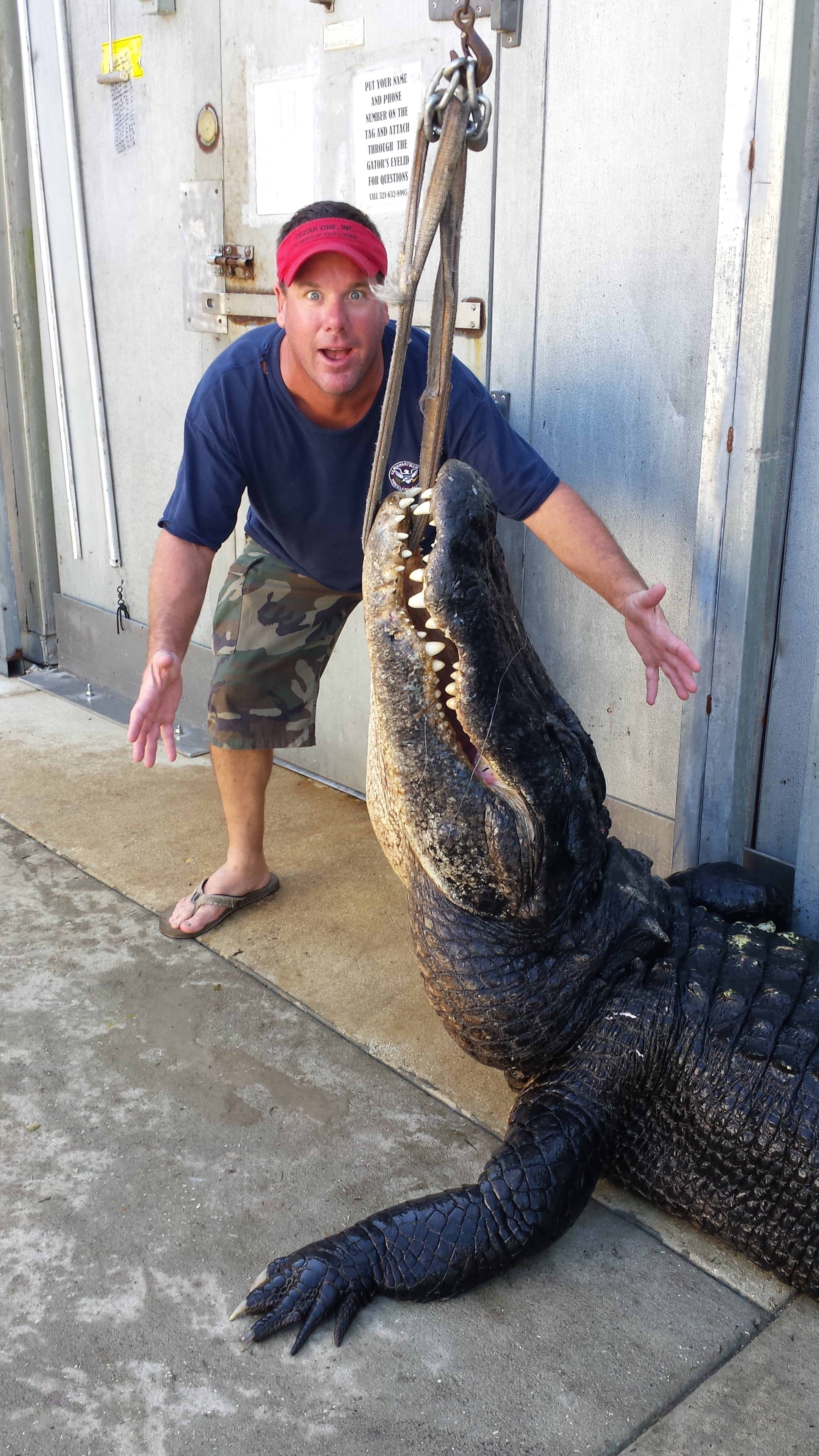 Man captures huge alligator in the St. Johns River in St. Johns County near the Riverdale Boat ramp.
