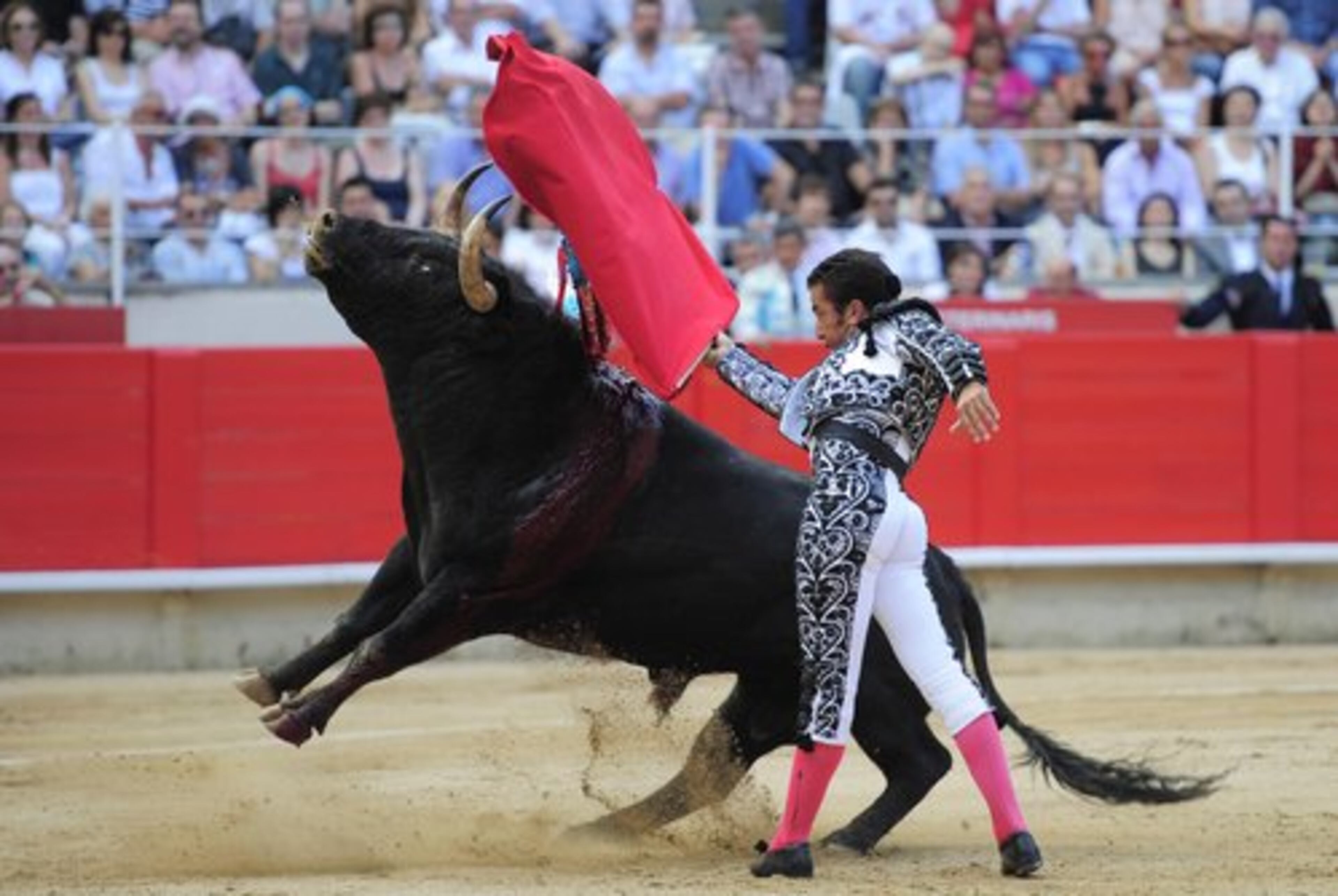 Spanish bullfighter El Fundi makes a pass during the bullfight at the Monumental Bullring in Barcelona, Spain.