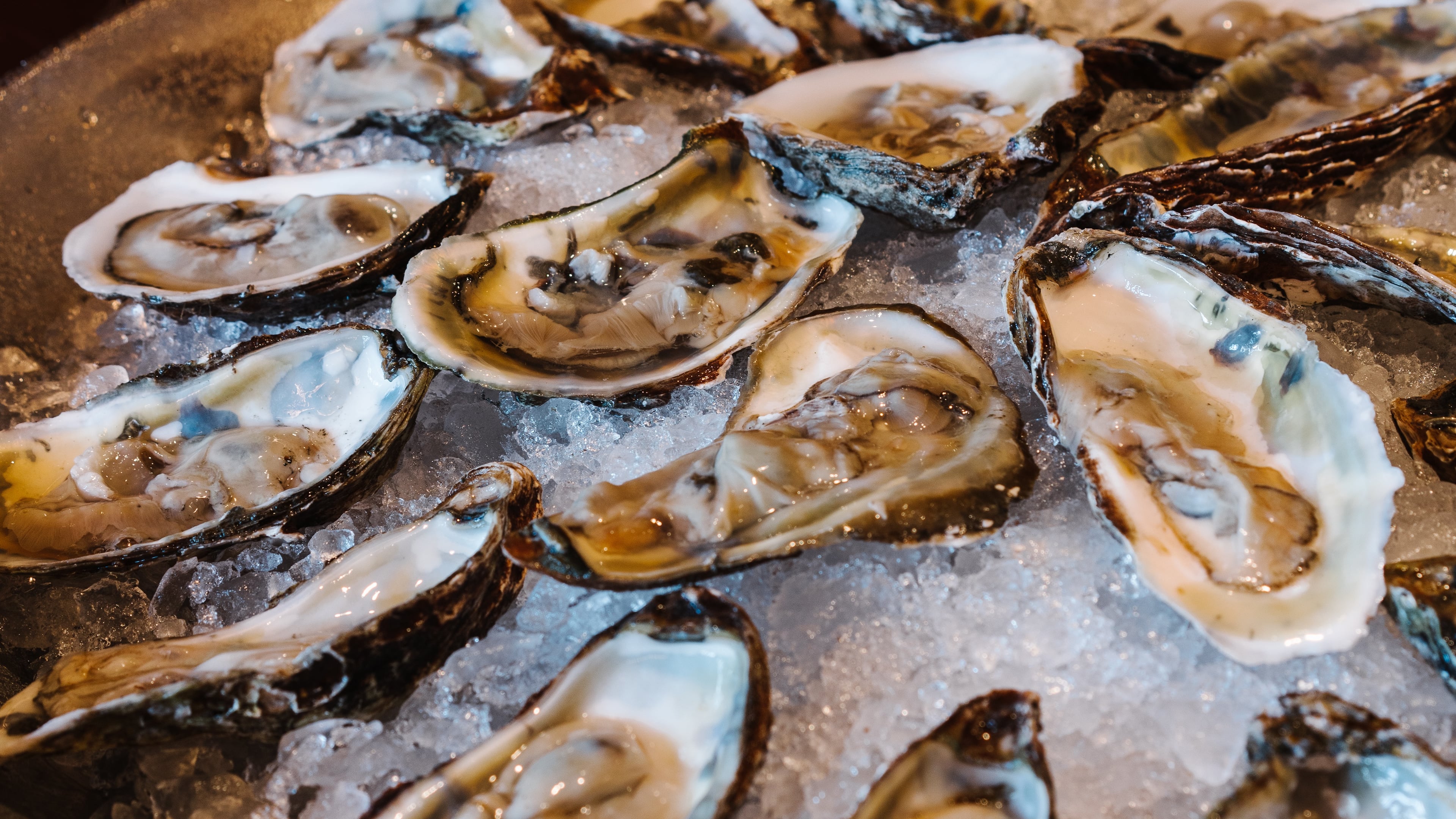 Get free oysters on Mondays at Bar Margot. Photo credit: Andrew Thomas Lee.