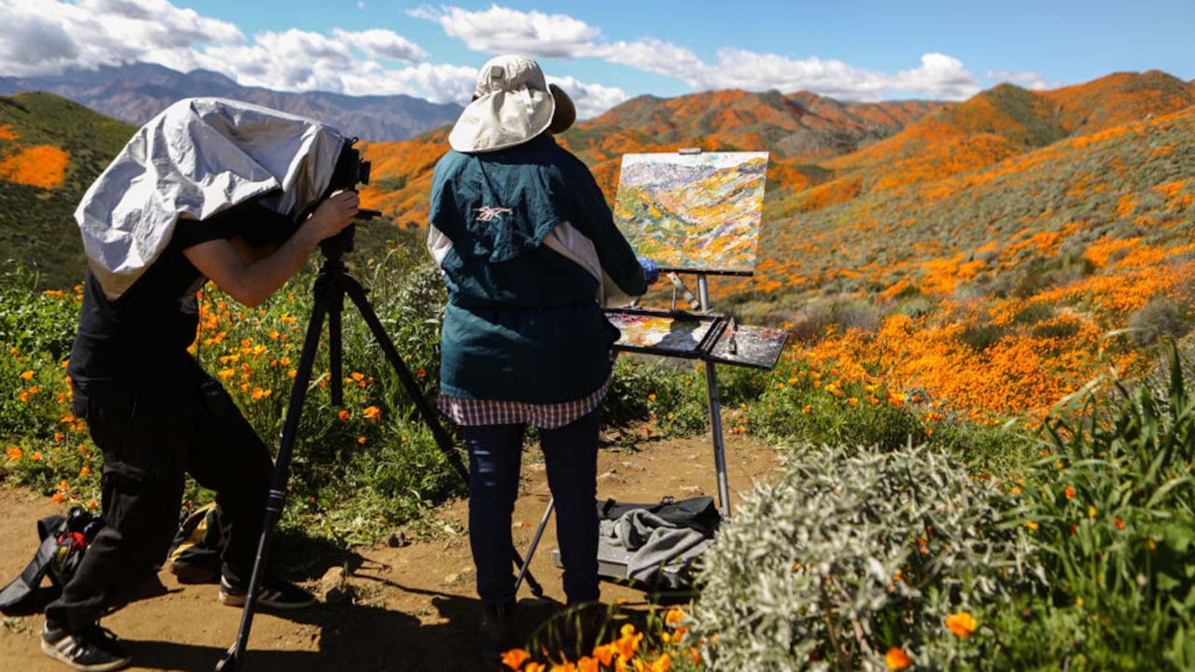A man photographs a woman painting a super bloom of wild poppies blanketing the hills of Walker Canyon on March 12, 2019 near Lake Elsinore, California. Heavier than normal winter rains in California have caused a super bloom of wildflowers around the state.