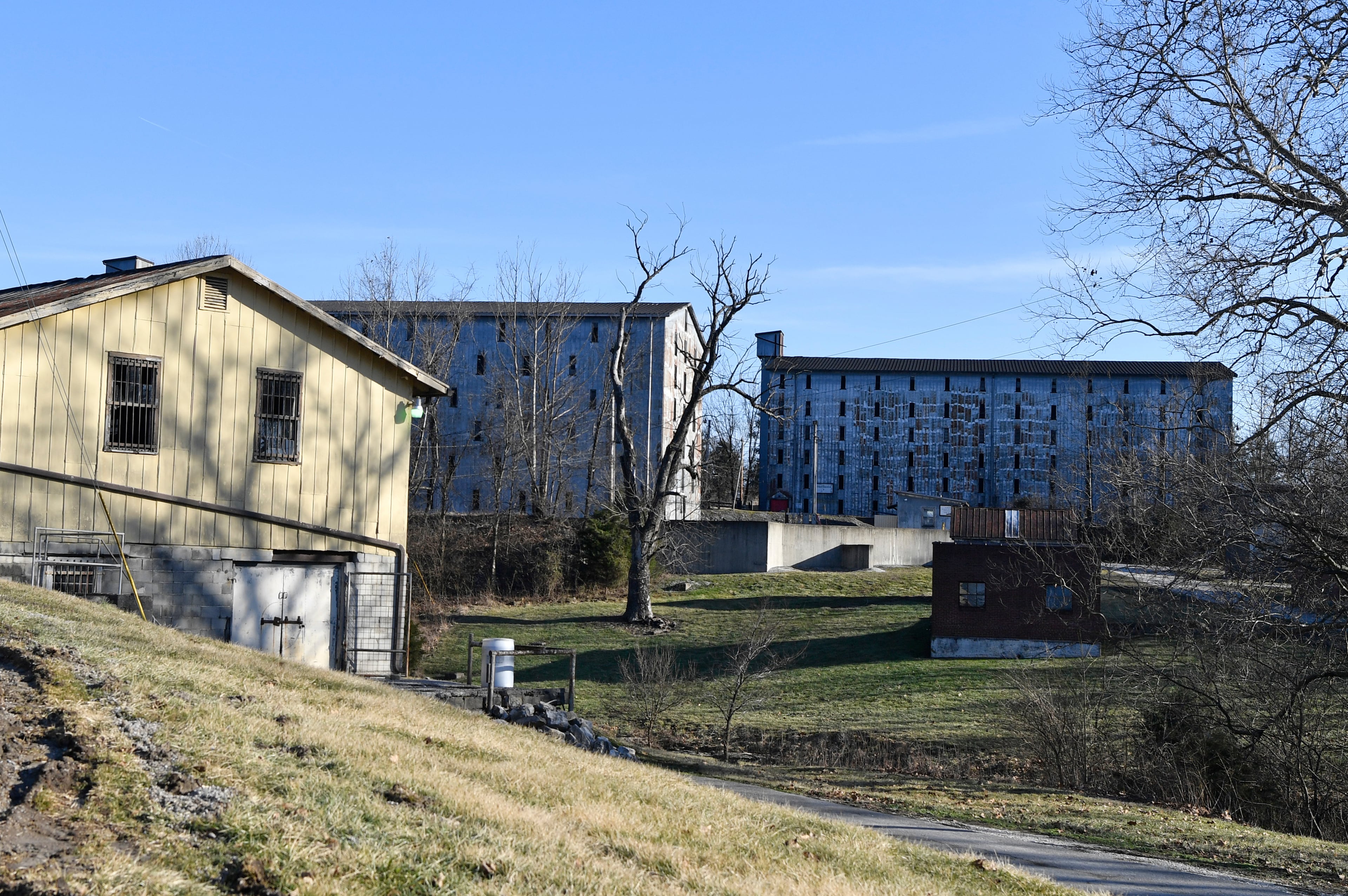 Four Roses Bourbon-Sale