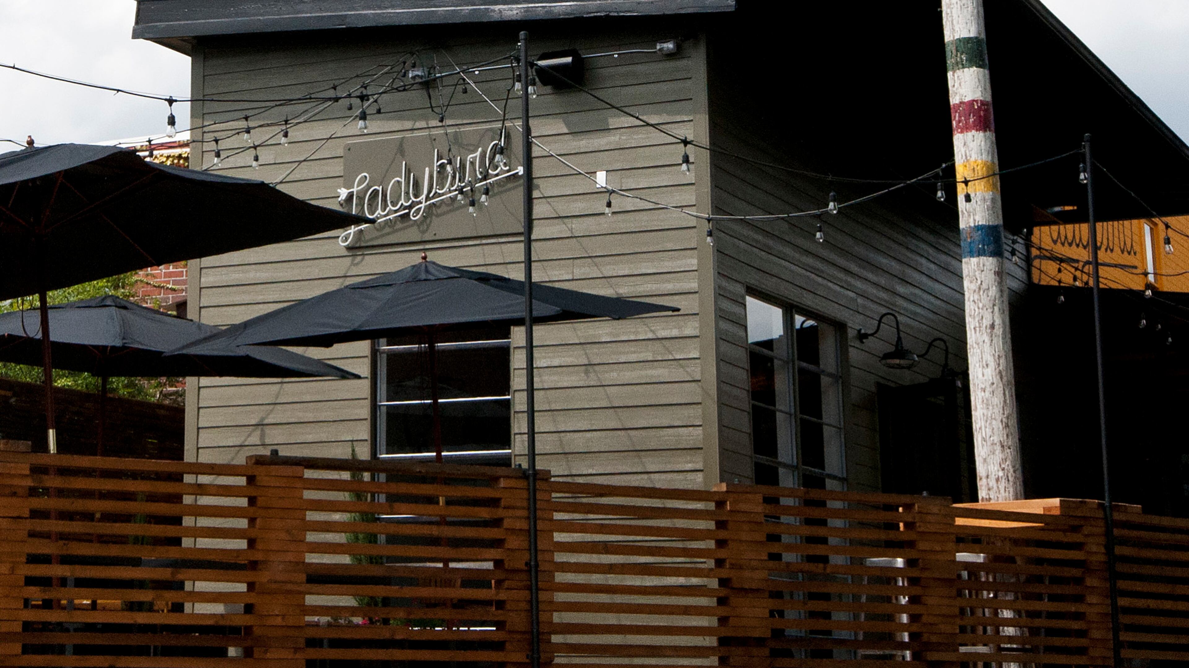 Photo courtesy of Ladybird