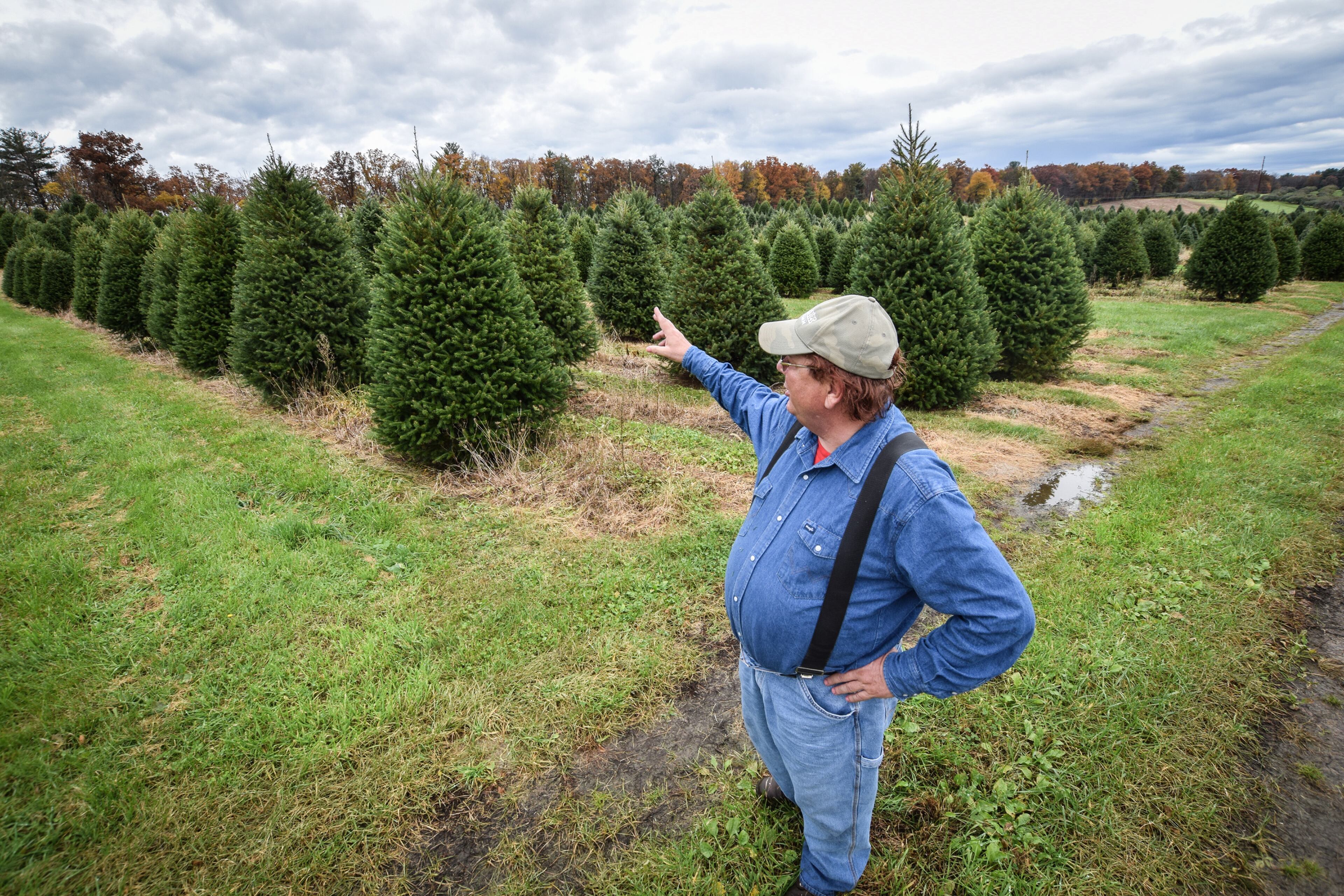 Jay Bustard at his Christmas tree farm in Lehighton, Pa. on Friday, Nov. 2, 2018. Bustard and his brother Glenn run Bustard's Christmas Trees in Landsdale, Pa.