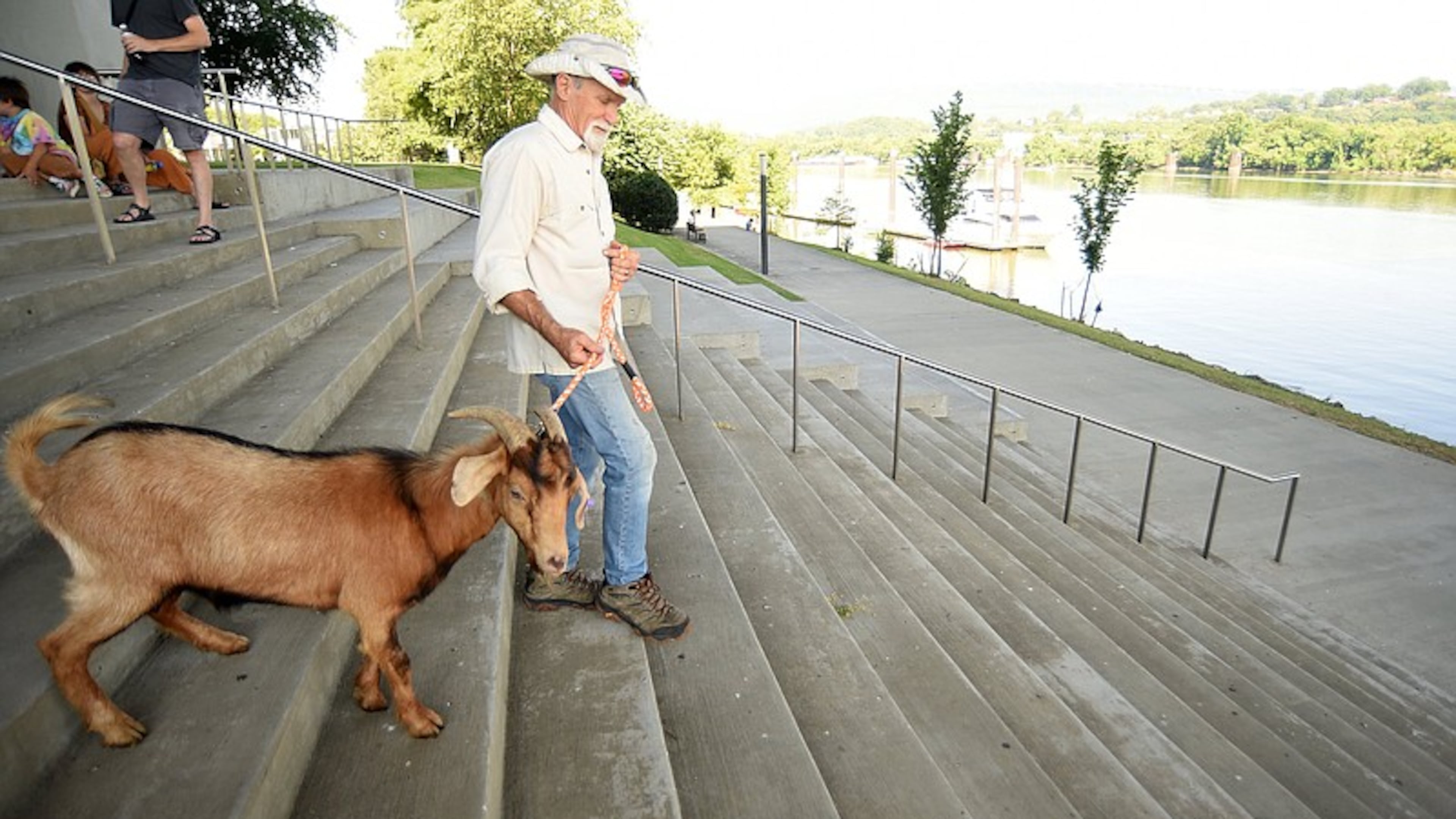 Jim Ledbetter leads a goat to the boat at Ross’s Landing. (Photo Courtesy of Matt Hamilton)