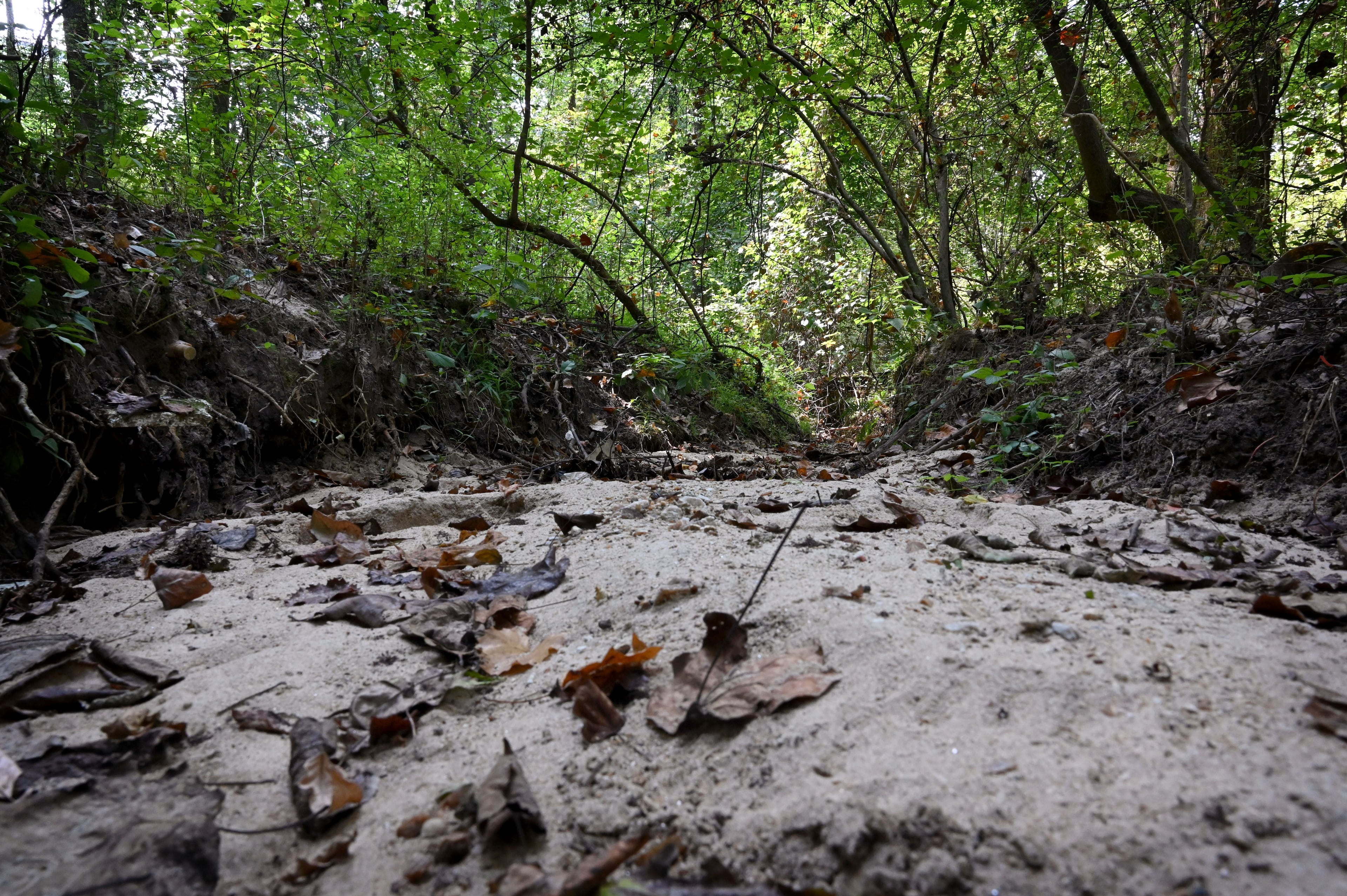 A wooded area in Cobb County, near where Virgil Presnell brought the two young girls in 1976. (Hyosub Shin/AJC)