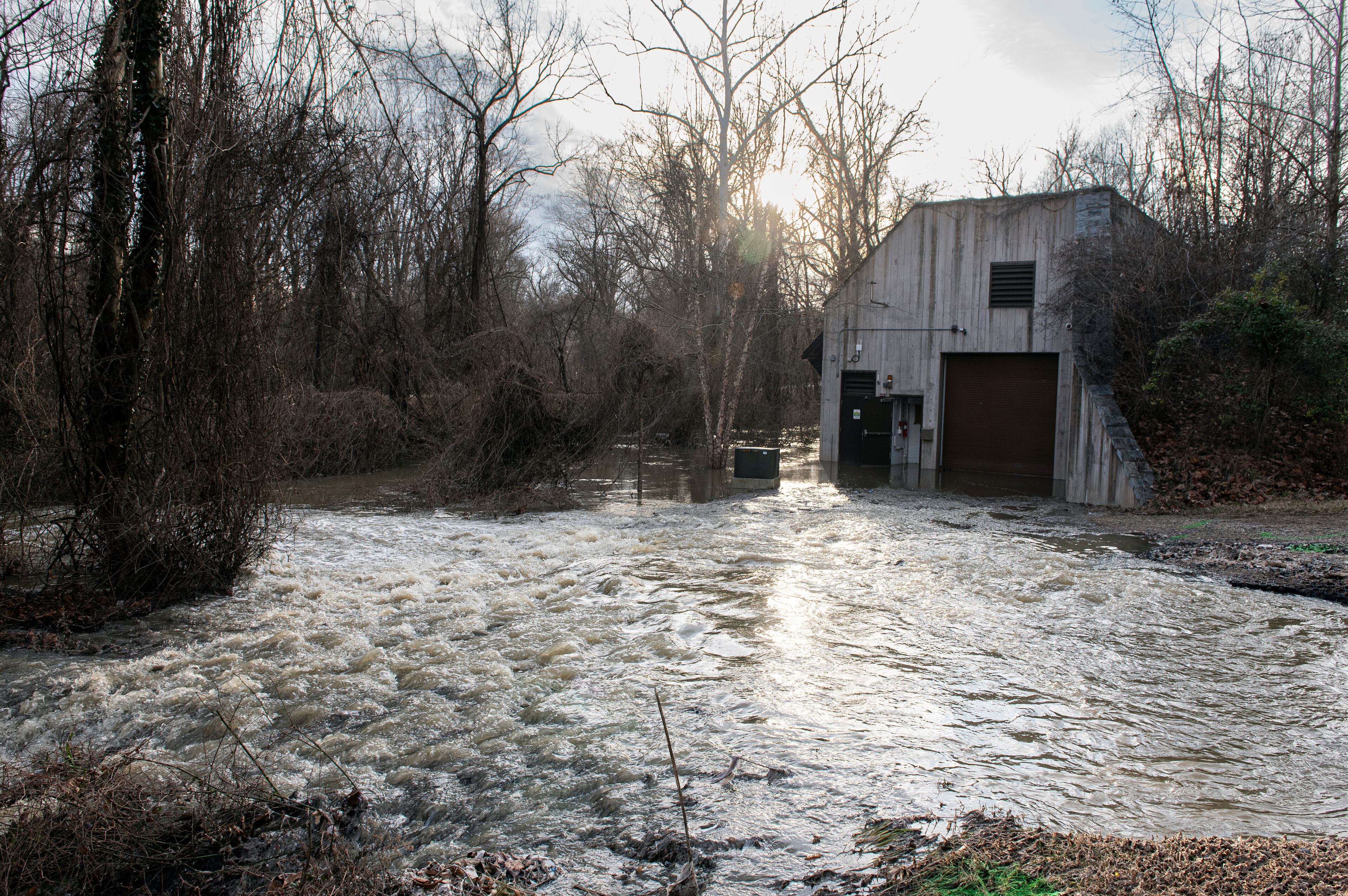 Potomac River Sewage