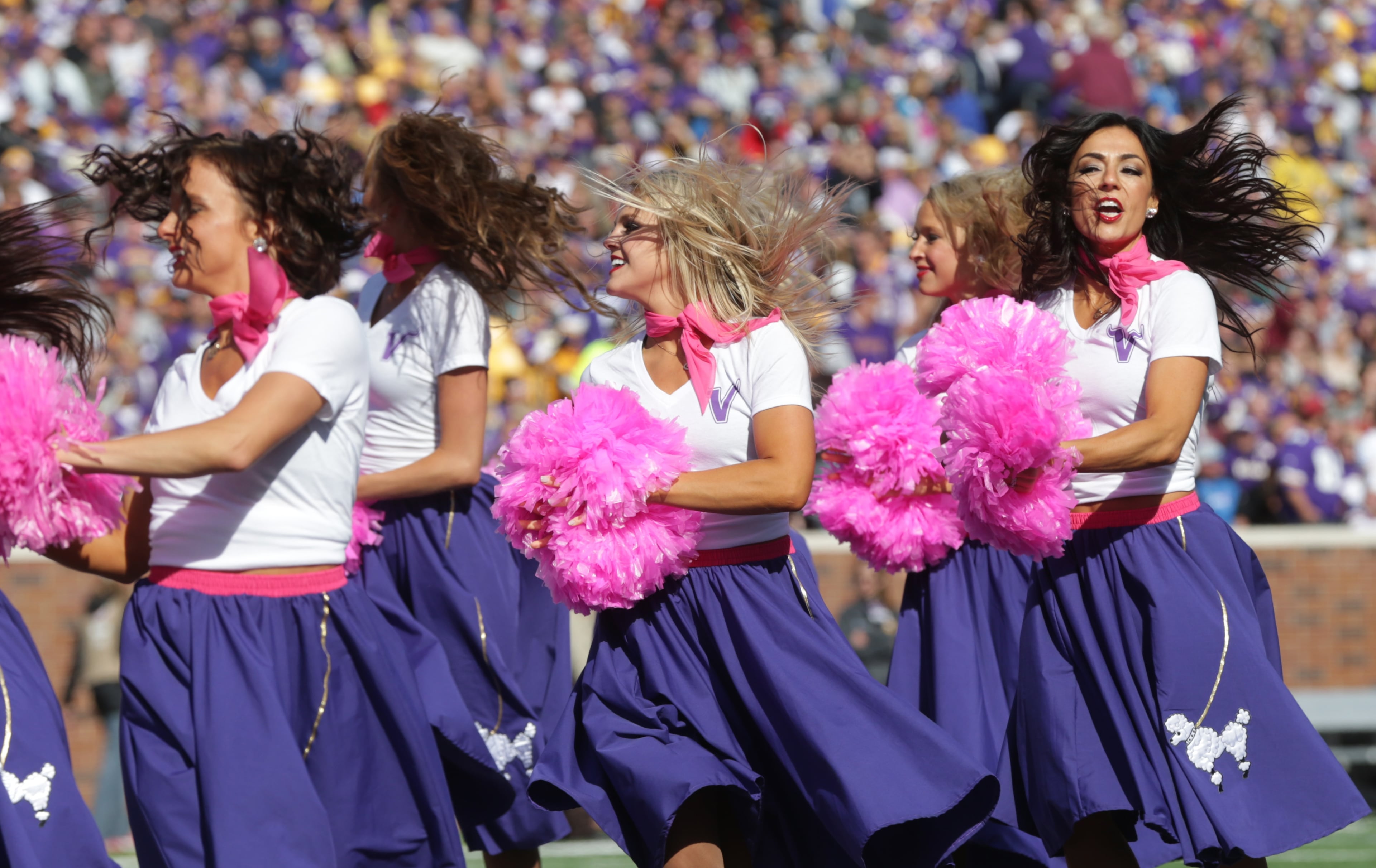 The Minnesota Vikings cheerleaders perform during the second half of an NFL football game against the Detroit Lions Sunday, Oct. 12, 2014, in Minneapolis. (AP Photo/Jim Mone)