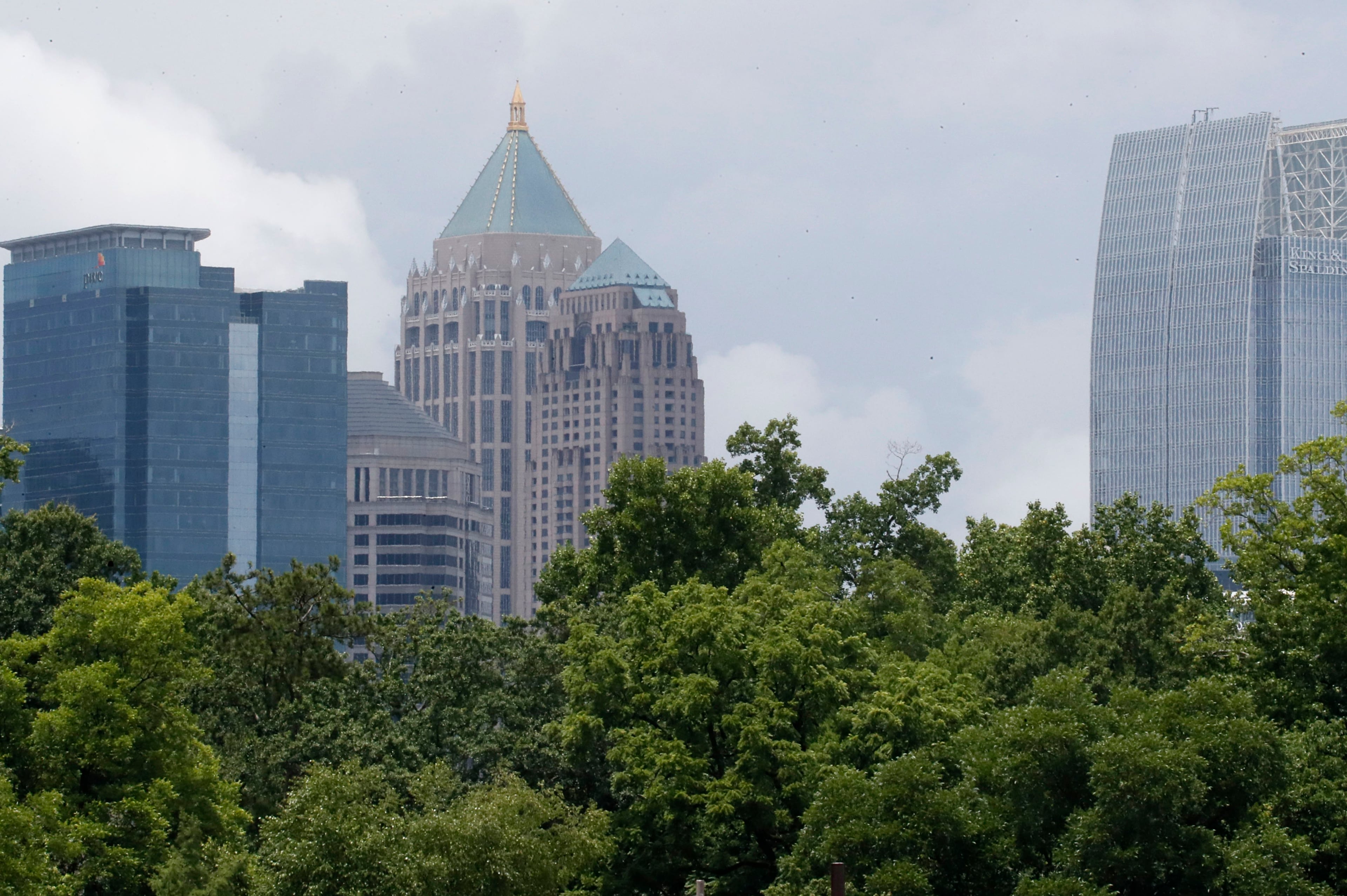 Atlanta City Council will hold meeting on protecting city’s tree canopy