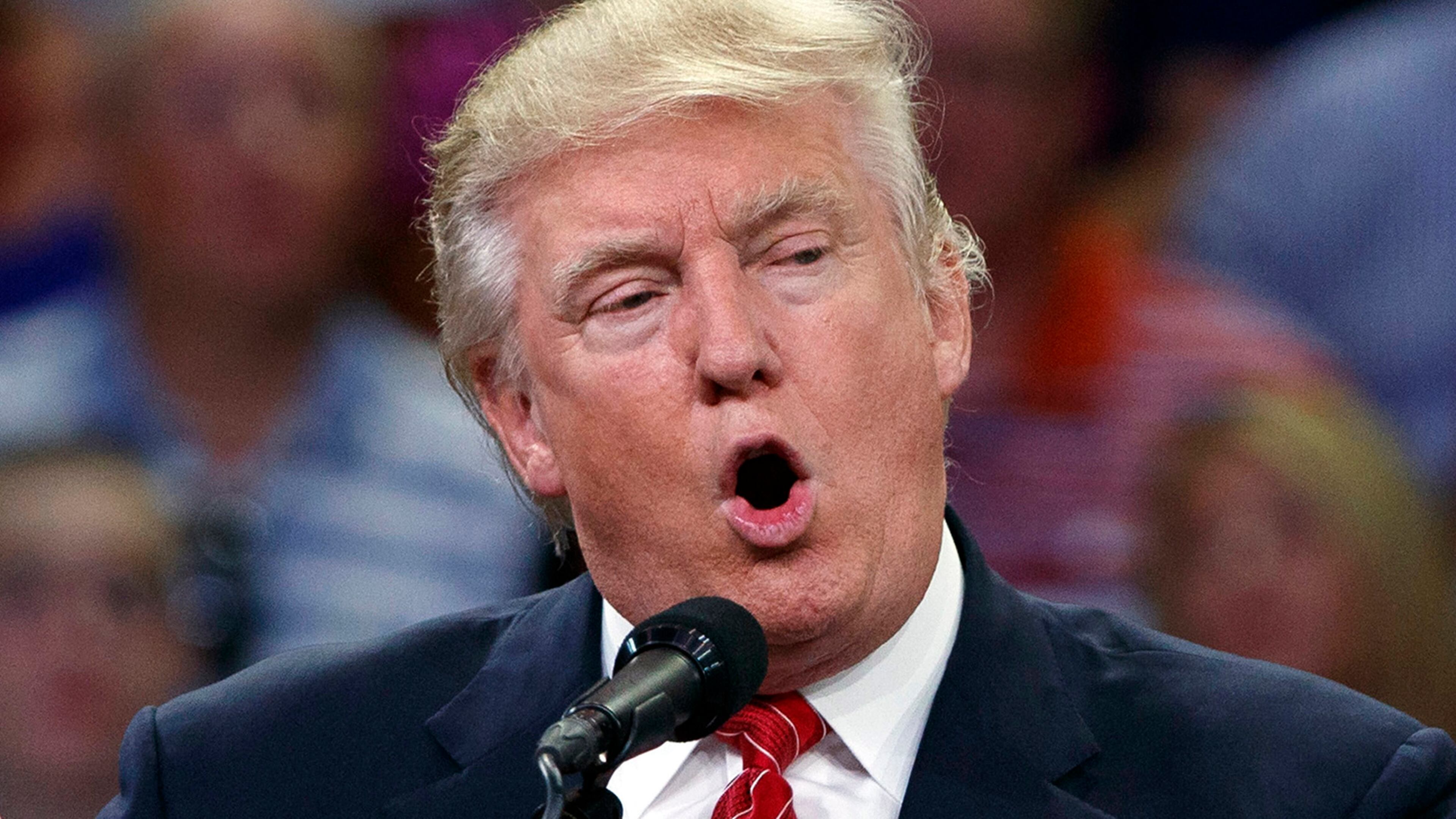 Republican presidential candidate Donald Trump speaks during a campaign rally at the University of North Carolina Wilmington, Tuesday, Aug. 9, 2016, in Wilmington, N.C. (AP Photo/Evan Vucci)