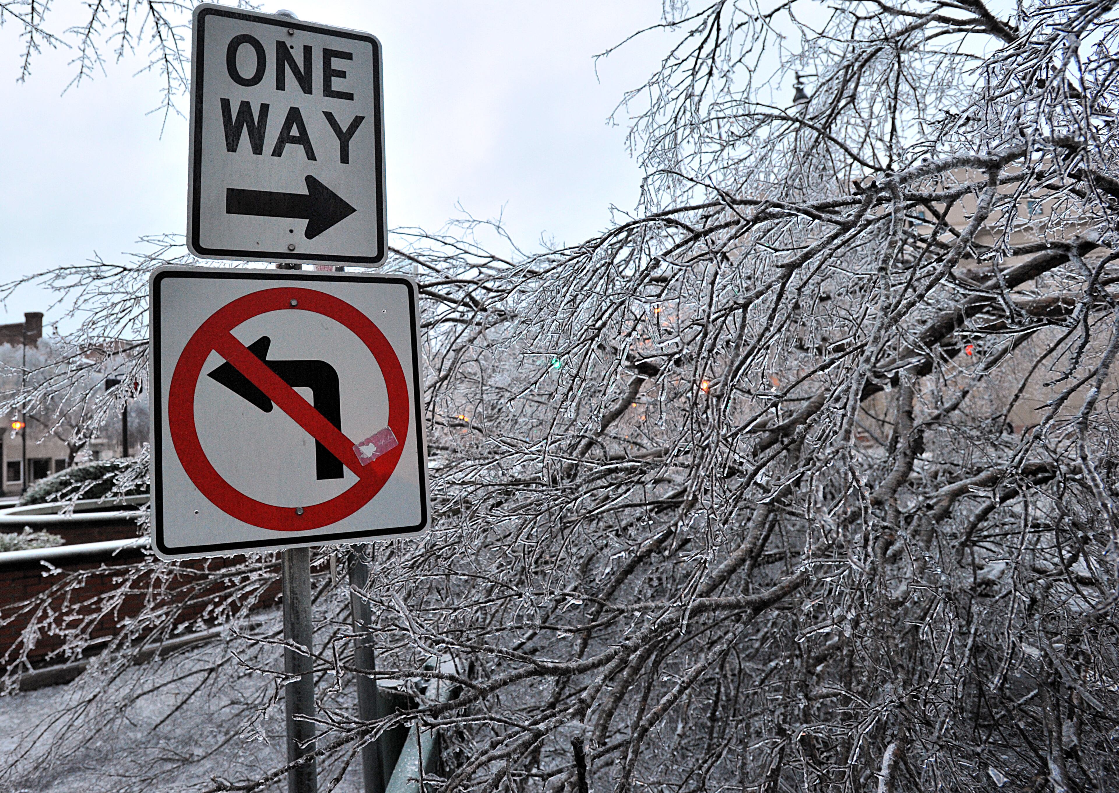 The ice storm caused many trees to break under heavy limbs on Broad Street in downtown Augusta on Thursday, February 13, 2014. HYOSUB SHIN / HSHIN@AJC.COM