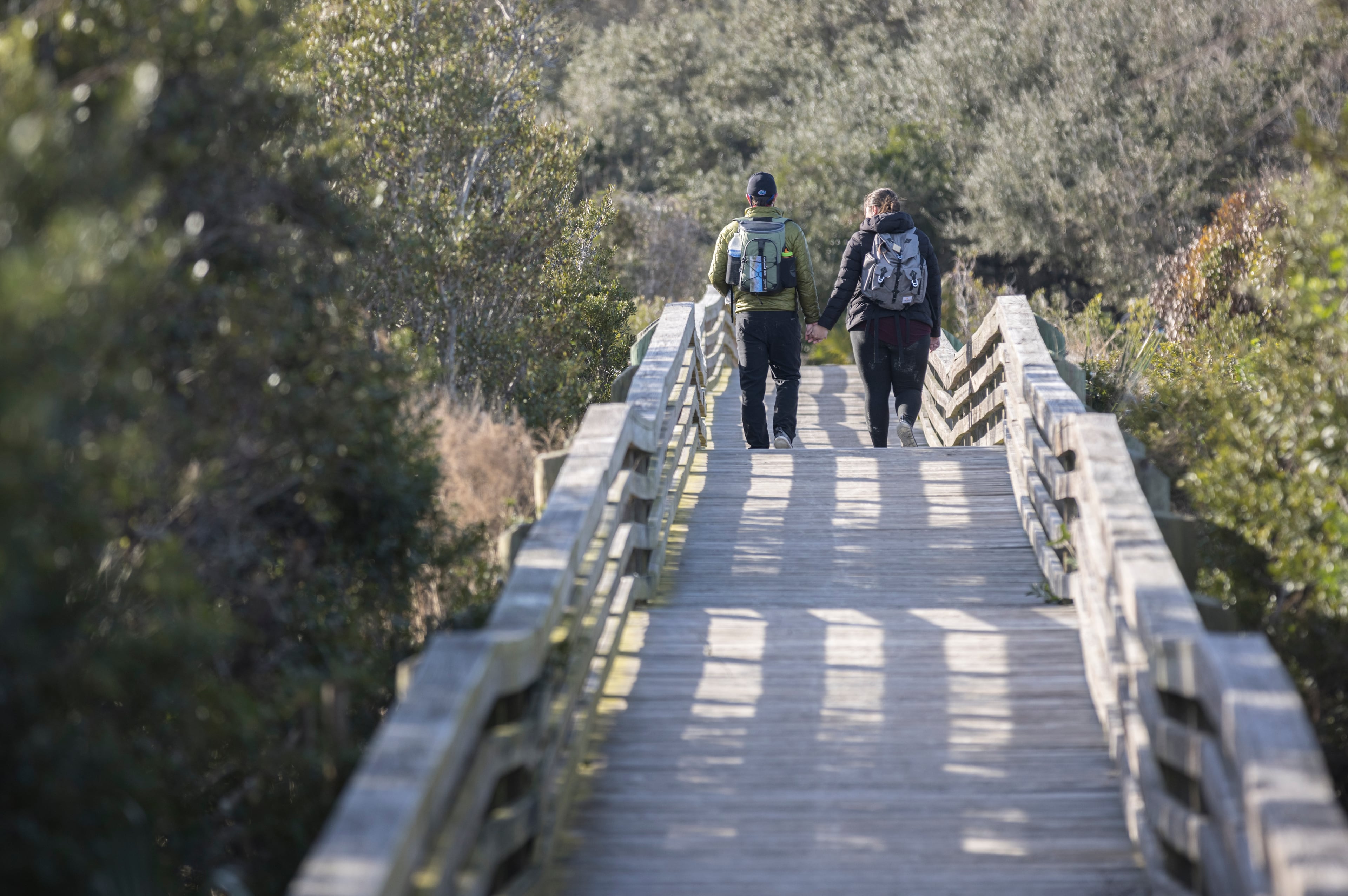 A NEW VISITOR PLAN THAT'S BEEN PROPOSED FOR THE CUMBERLAND ISLAND NATIONAL SEASHORE