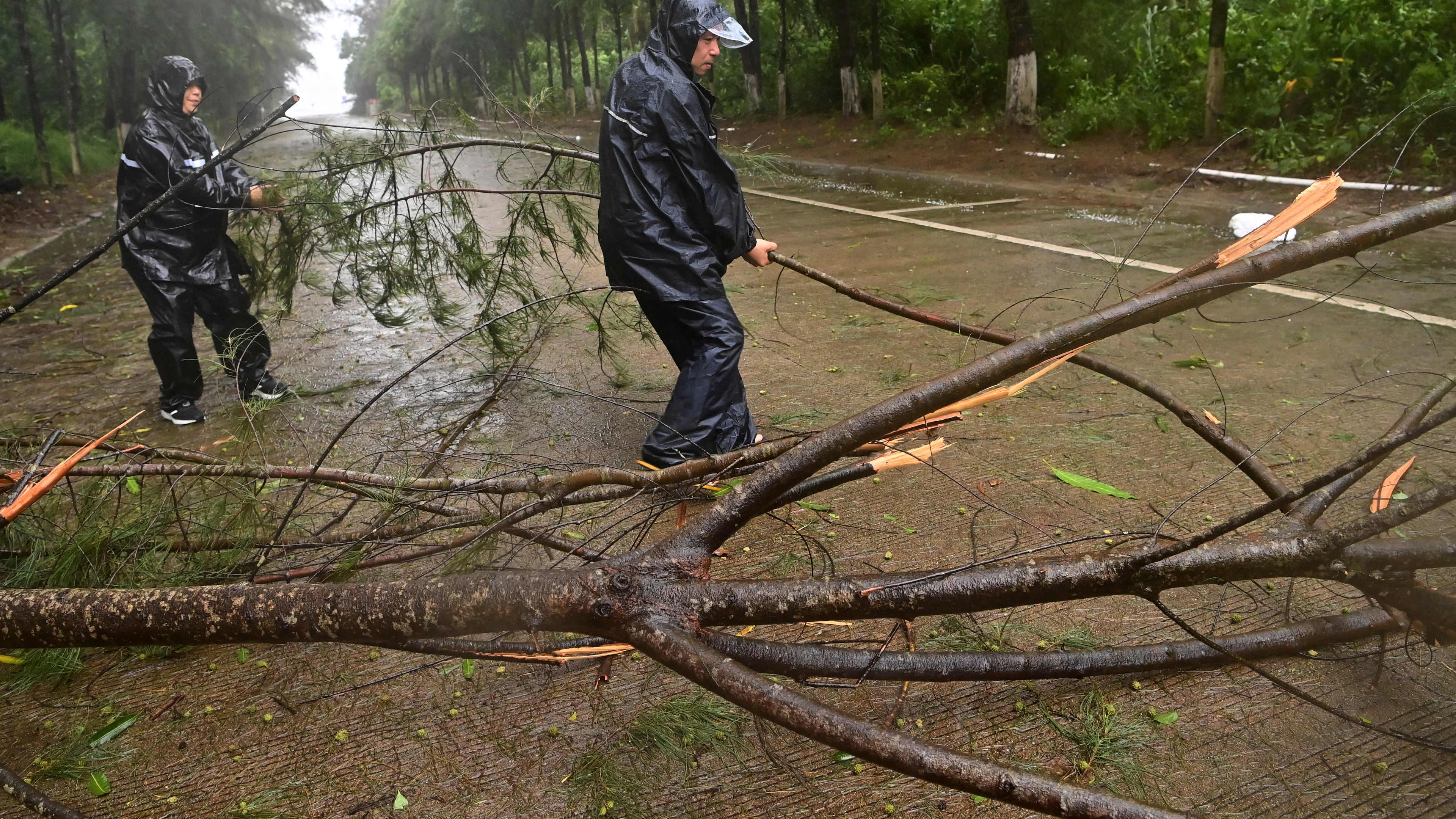 In this photo released by Xinhua News Agency, workers clear up a fallen tree along a road in Jiangping town, Dongxing of Fangchenggang, south China's Guangxi Zhuang Autonomous Region on Saturday, July 4, 2026, after a severe weather system was affecting the area. (Lu Boan/Xinhua via AP)