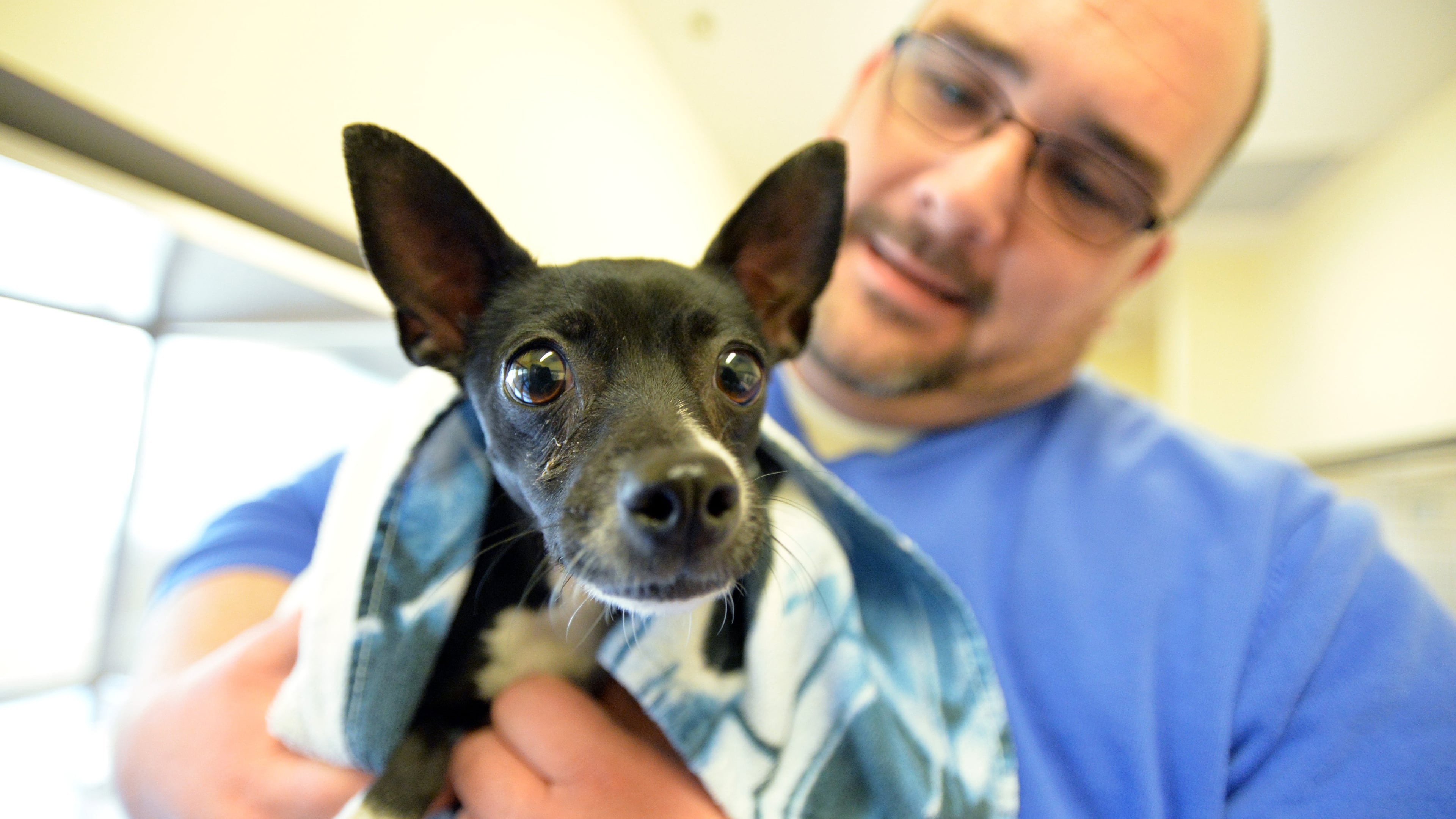 Gwinnett County Animal Shelter is running a one-day $20 “Clear the Shelter” adoption special on St/ Patrick’s Day.