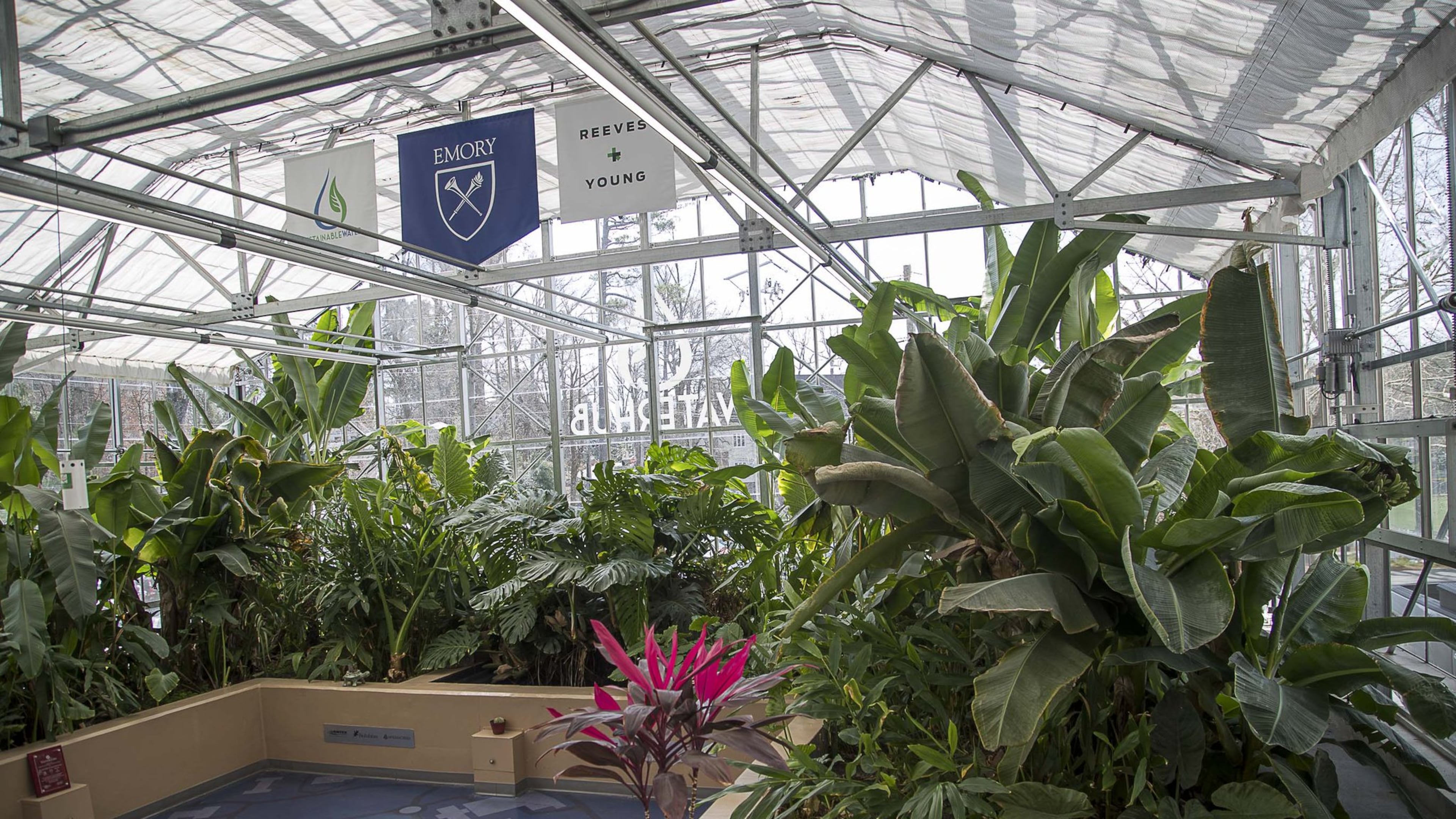 The Emory WaterHub at the Emory University main campus features a range of plants. On any given day, up to 400,000 gallons of wastewater flow out of the campus sewer system to pipes under the light blue flooring that doubles as a diagram for how the system works. The waste is treated through a series of processes that mimic nature. ALYSSA POINTER / ALYSSA.POINTER@AJC.COM