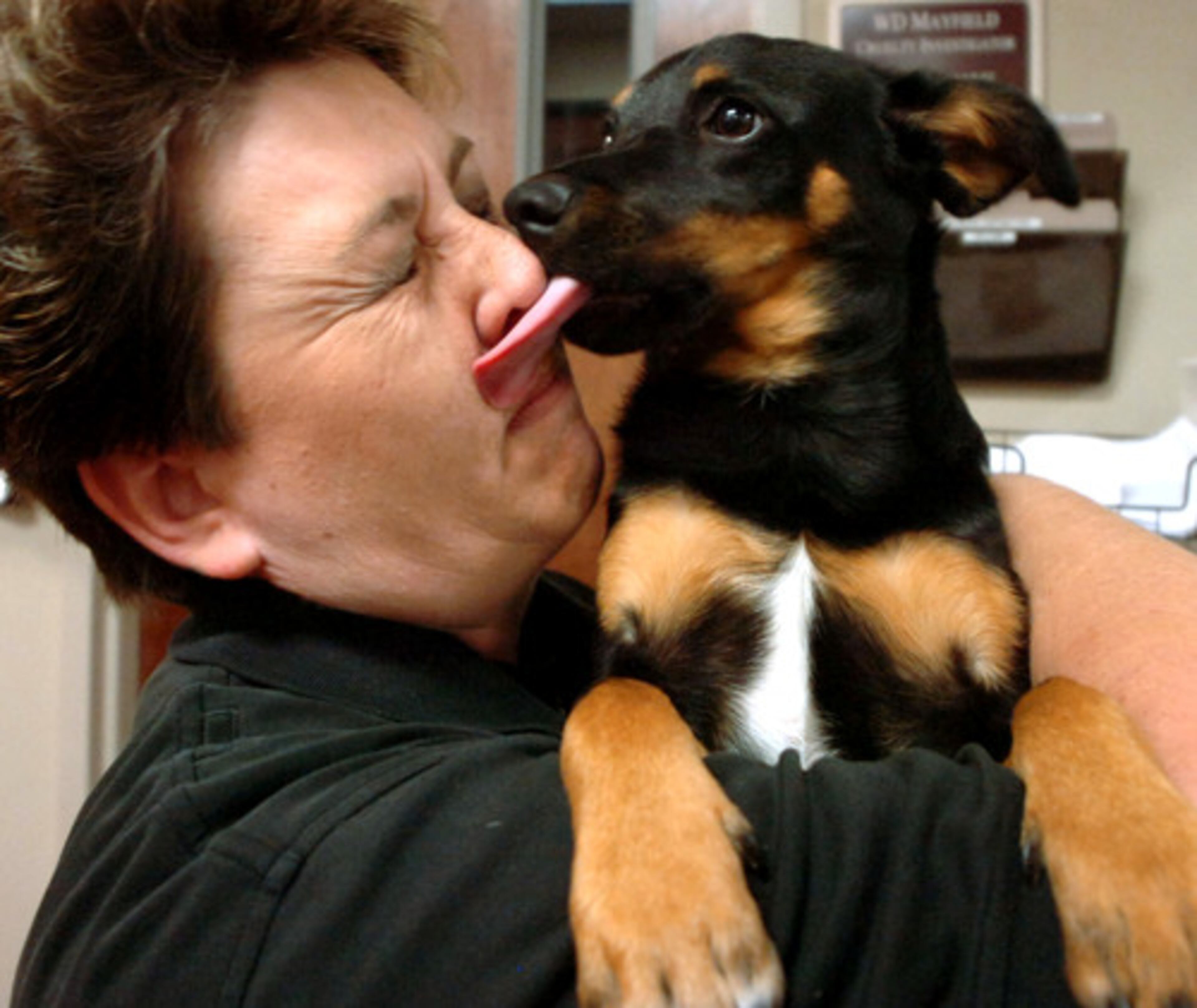 Glenda Ott, Cobb's animal control supervisor, gets a kiss from Toby, a 9-month-old dog up for adoption. Toby has been neutered and is housebroken, Ott says.