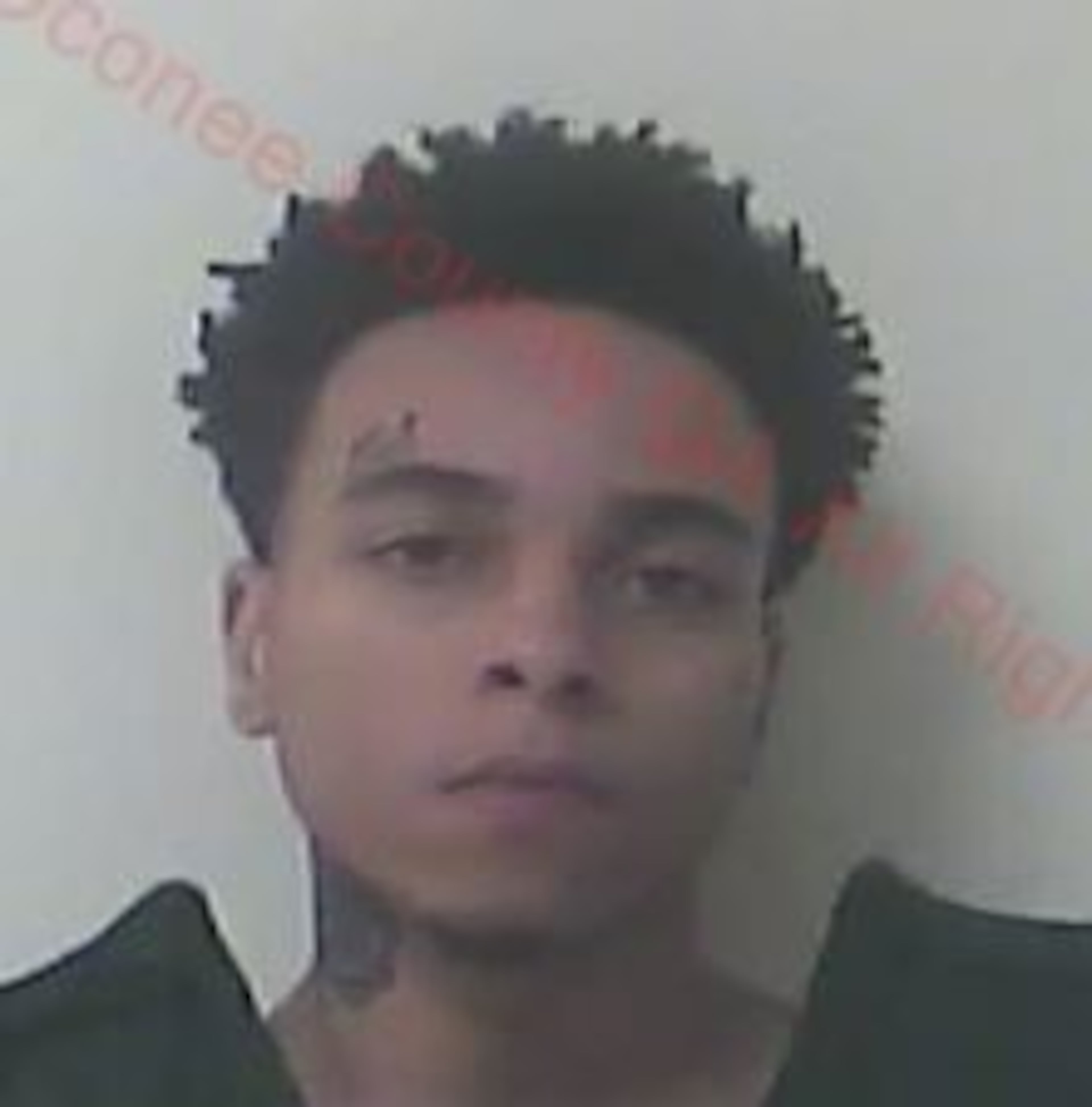 Ryan Timothy O’Neal