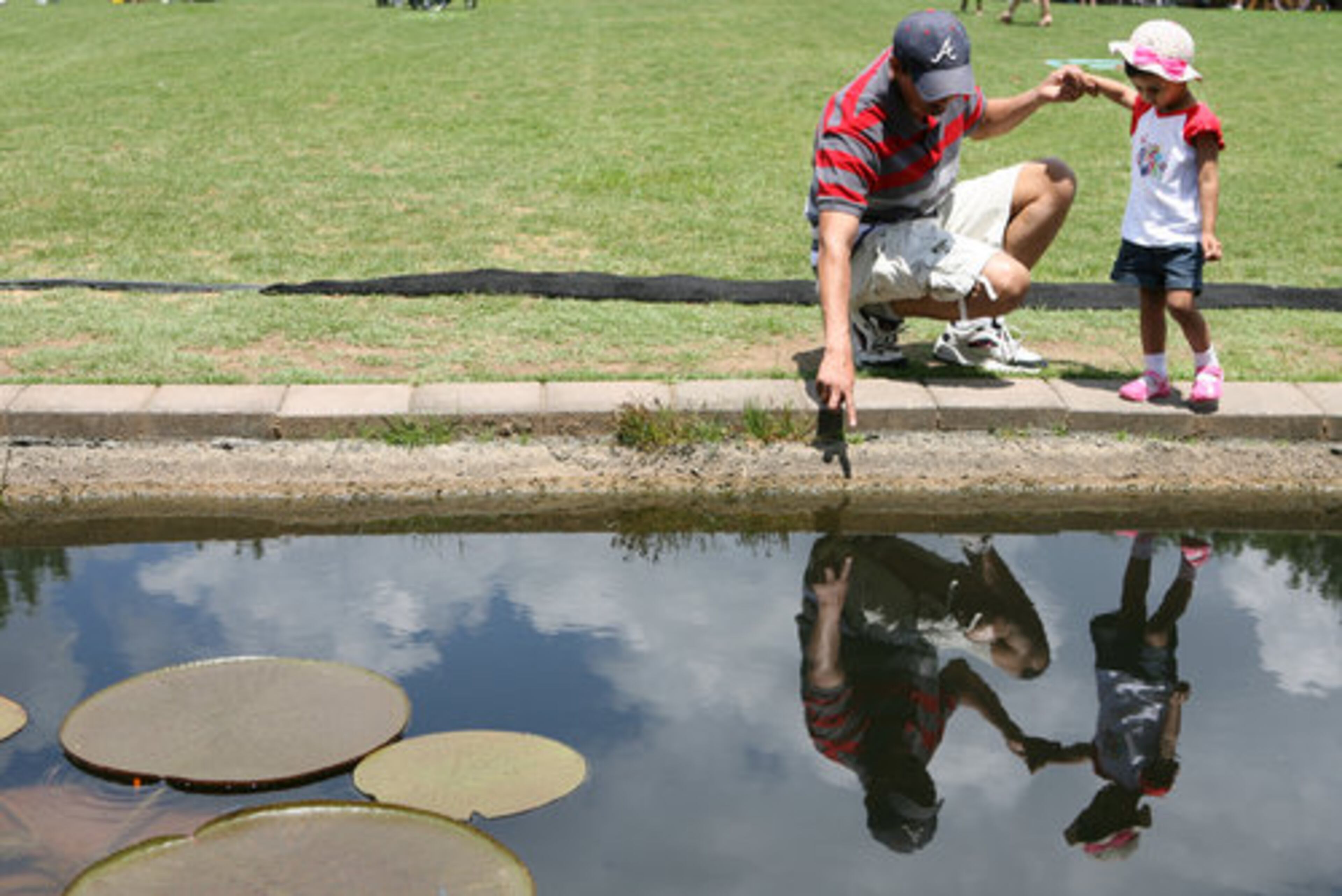Atlanta Botanical Garden draws lots of families because of the Children's Garden as well as special activities like A Froggy Father's Day Celebration.