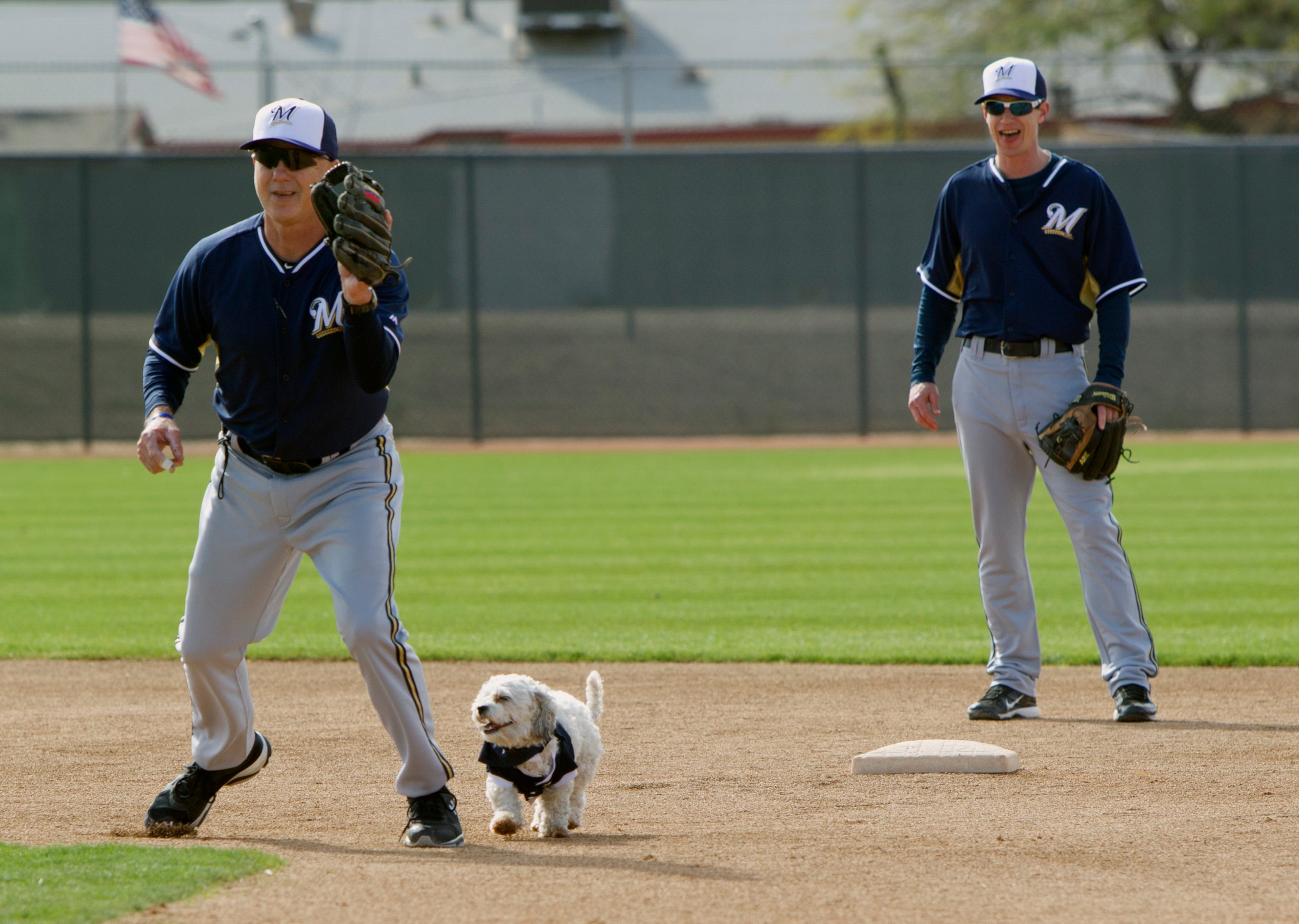 Hank, a stray dog that the Brewers recently found wandering their practice fields at Maryvale Baseball Park, helps instructor Bob Miscik field a ball during spring training on Friday, Feb. 21, 2014, in Phoenix. The team and staff have been taking care of Hank since he was found at the park on President's Day. Hank is named after Hank Aaron. (AP Photo/The Arizona Republic, Cheryl Evans)