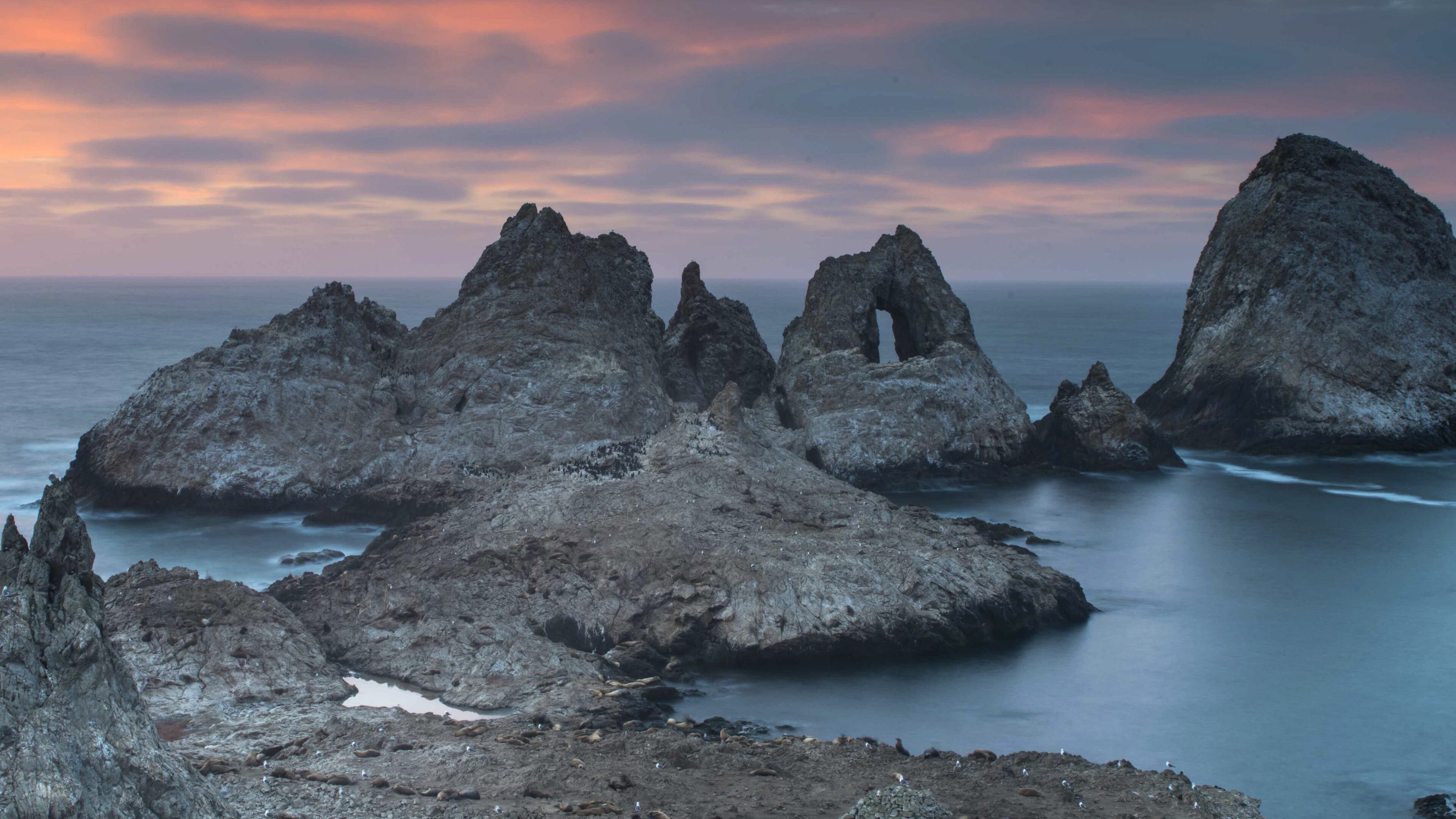 In an undated handout photo, an outcropping of the Farallon Islands, 26 miles off the California coast by San Francisco. The tiny chain’s 211 acres are a National Wildlife Refuge and off limits to people, but a boat trip offers passengers rare views of seabirds, seals and whales. (U.S. Fish and Wildlife Service via The New York Times)