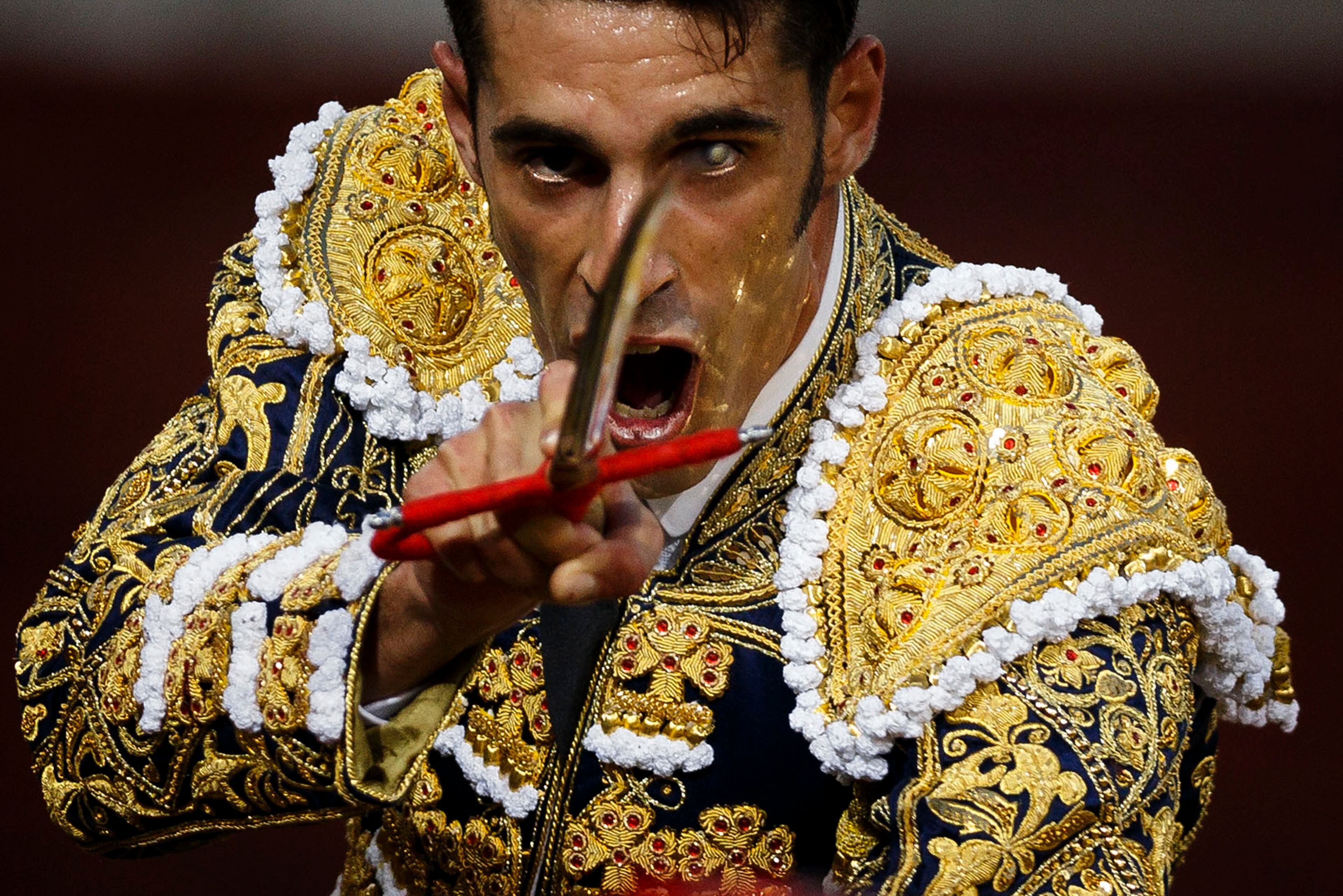 Spanish bullfighter Alejandro Talavante aims his sword on his way to killing a bull during a bullfight in San Sebastian De Los Reyes, Spain, Saturday, Aug. 29, 2015. Bullfight is an ancient tradition in Spain. (AP Photo/Daniel Ochoa de Olza)