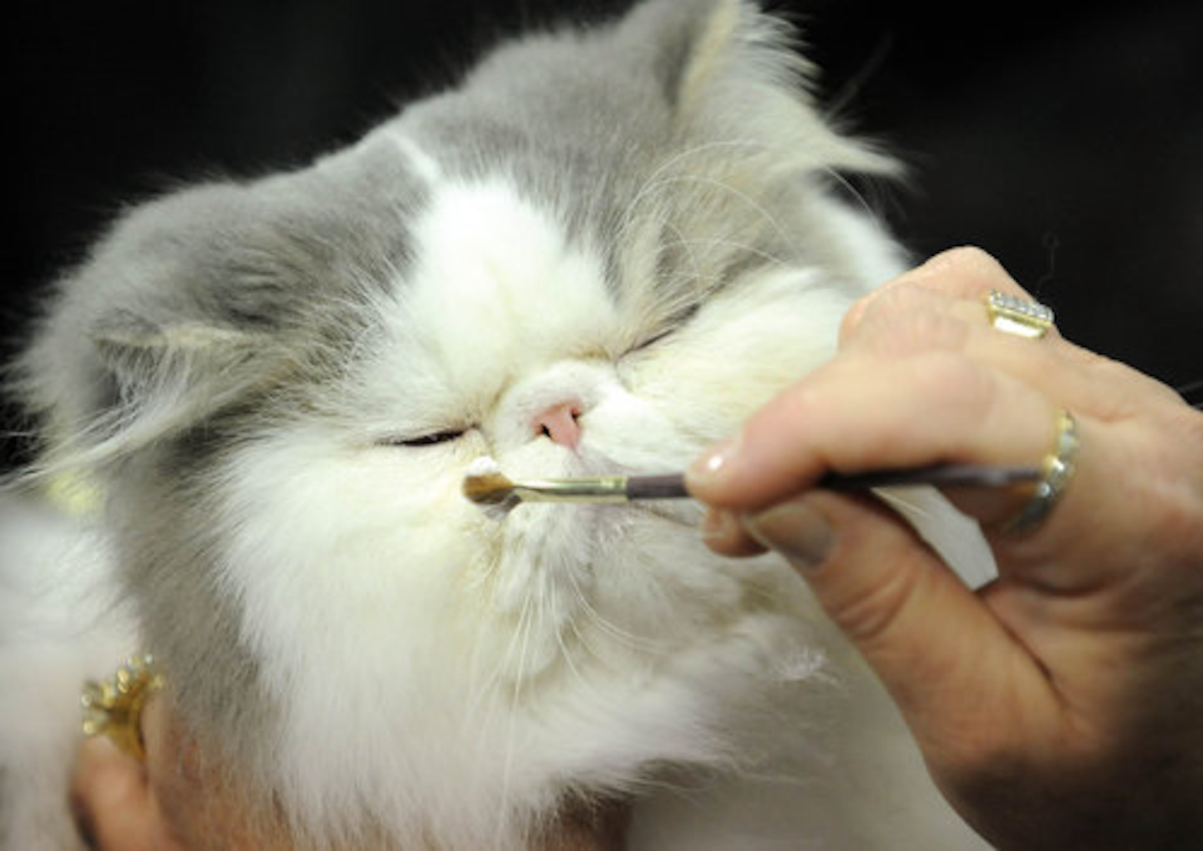 Monique Danielle, of Orlando, Florida, gives "Yahto Moon" a little makeup.