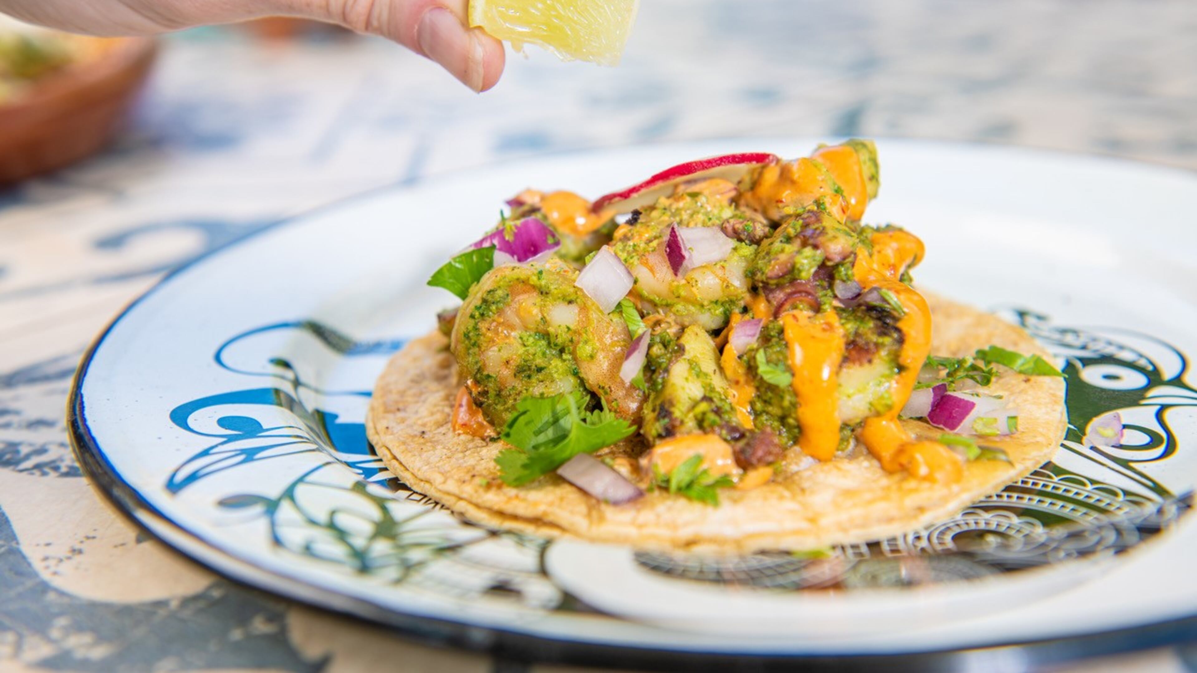 A dish from the menu of Tortuga y Chango.