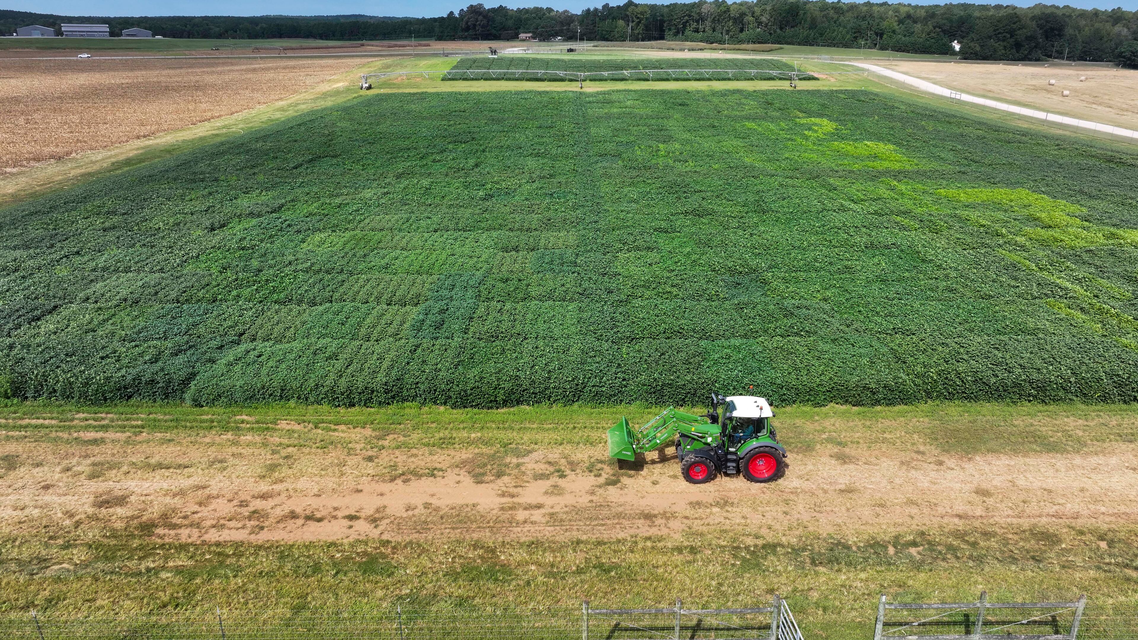 A tractor moves beside a soybean field at Iron Horse Farm with the J. Phil Campbell Sr. Research and Education Center during a demonstration of precise harvesting using the latest technology from Georgia-based AGCO Corp., on Monday, Sept. 8, 2025. (Miguel Martinez/AJC)