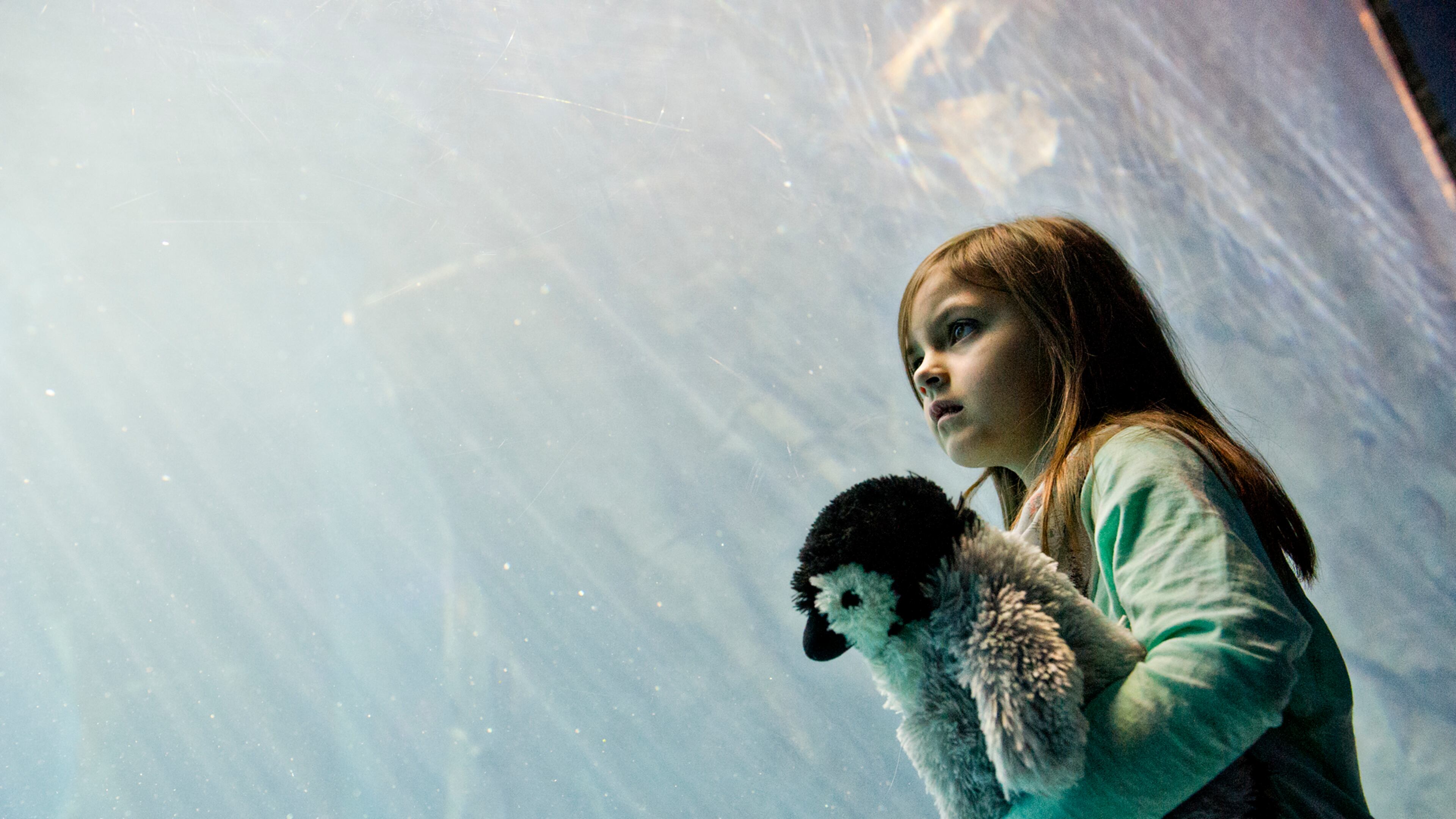 Leah Green holds onto a penguin stuffed animal as she looks in one of the tanks during the Party with the Penguins event at the Georgia Aquarium in downtown Atlanta on Saturday, January 17, 2015. The fourth annual event coincides with Penguin Awareness Day which is always on Jan. 20. JONATHAN PHILLIPS / SPECIAL