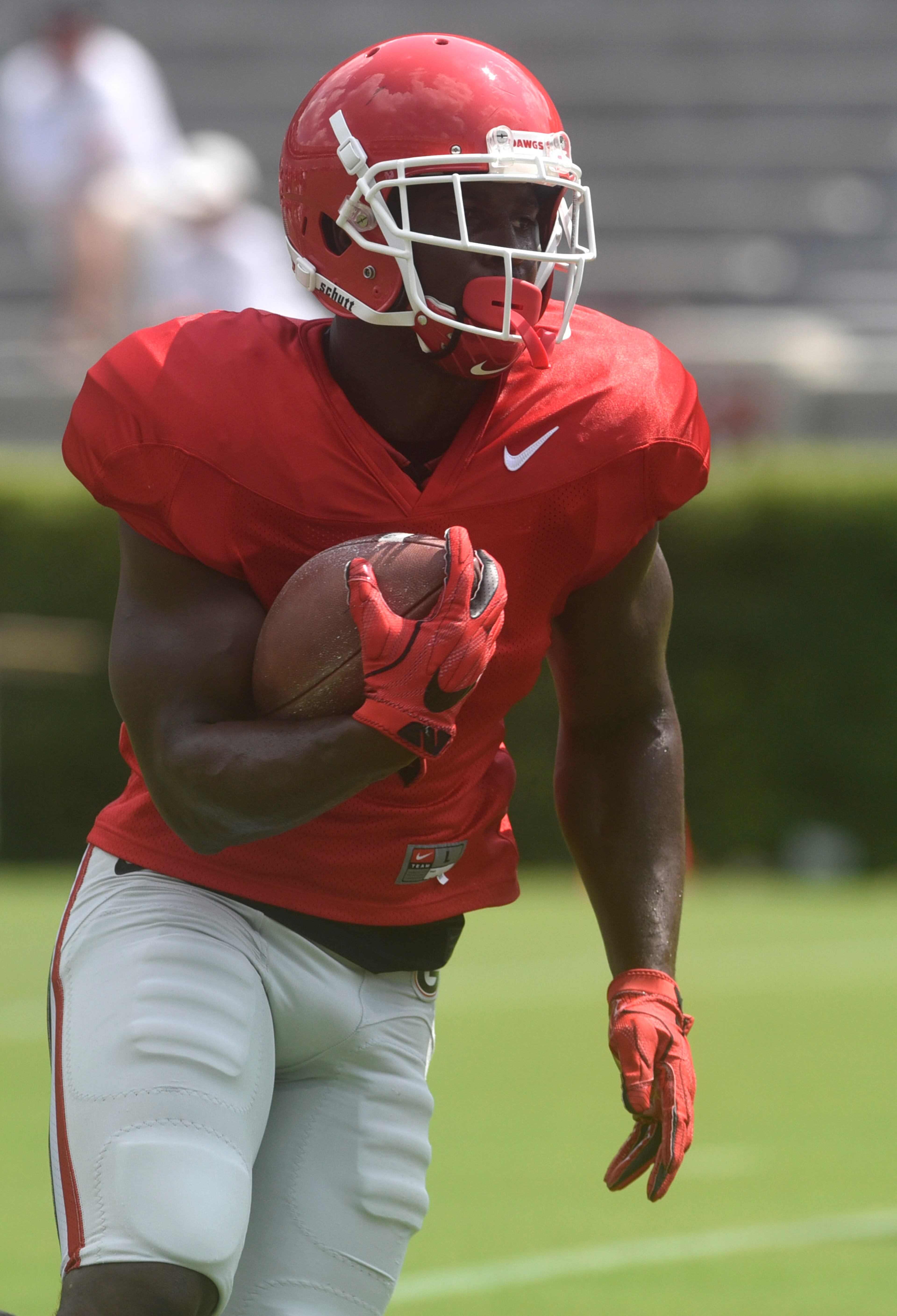 Georgia tailback Sony Michel (1) runs a practice drill during the annual UGA Fan Day at Sanford Stadium on Saturday, Aug 5, 2017 in Athens, Ga.
(RICHARD HAMM)