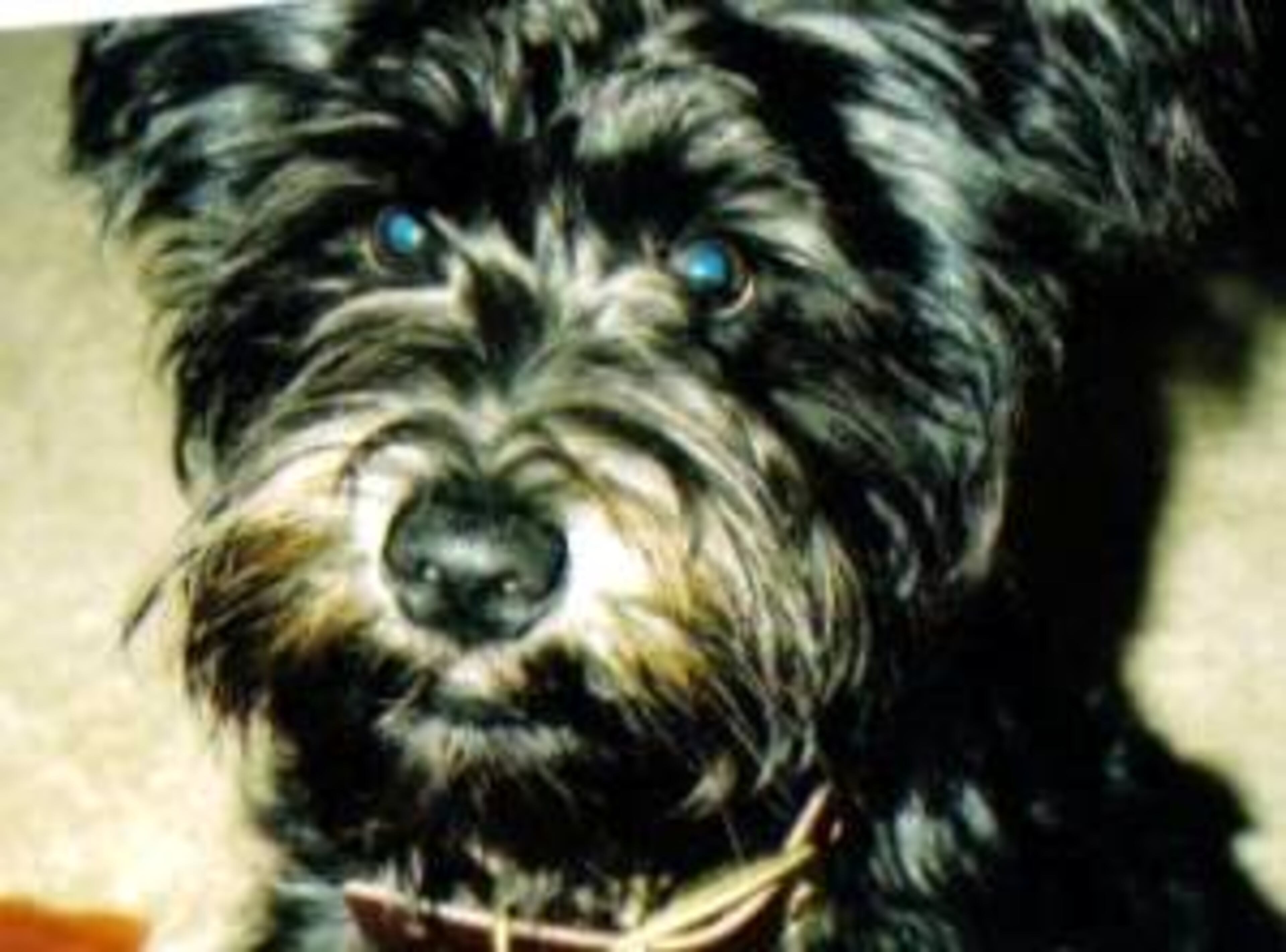 Alex offers a scruffy smile.