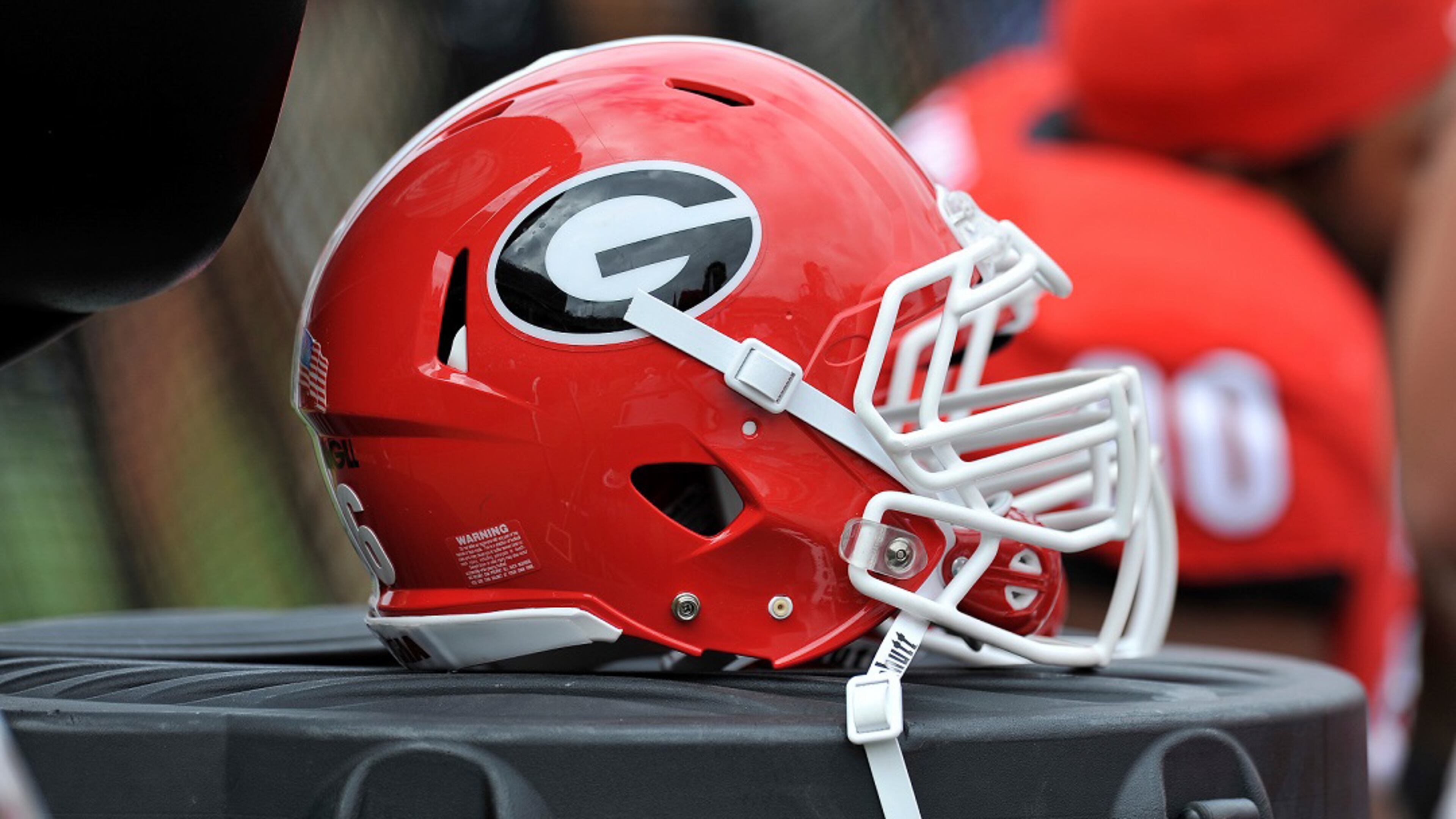 (Photo by Philip Williams/UGA)