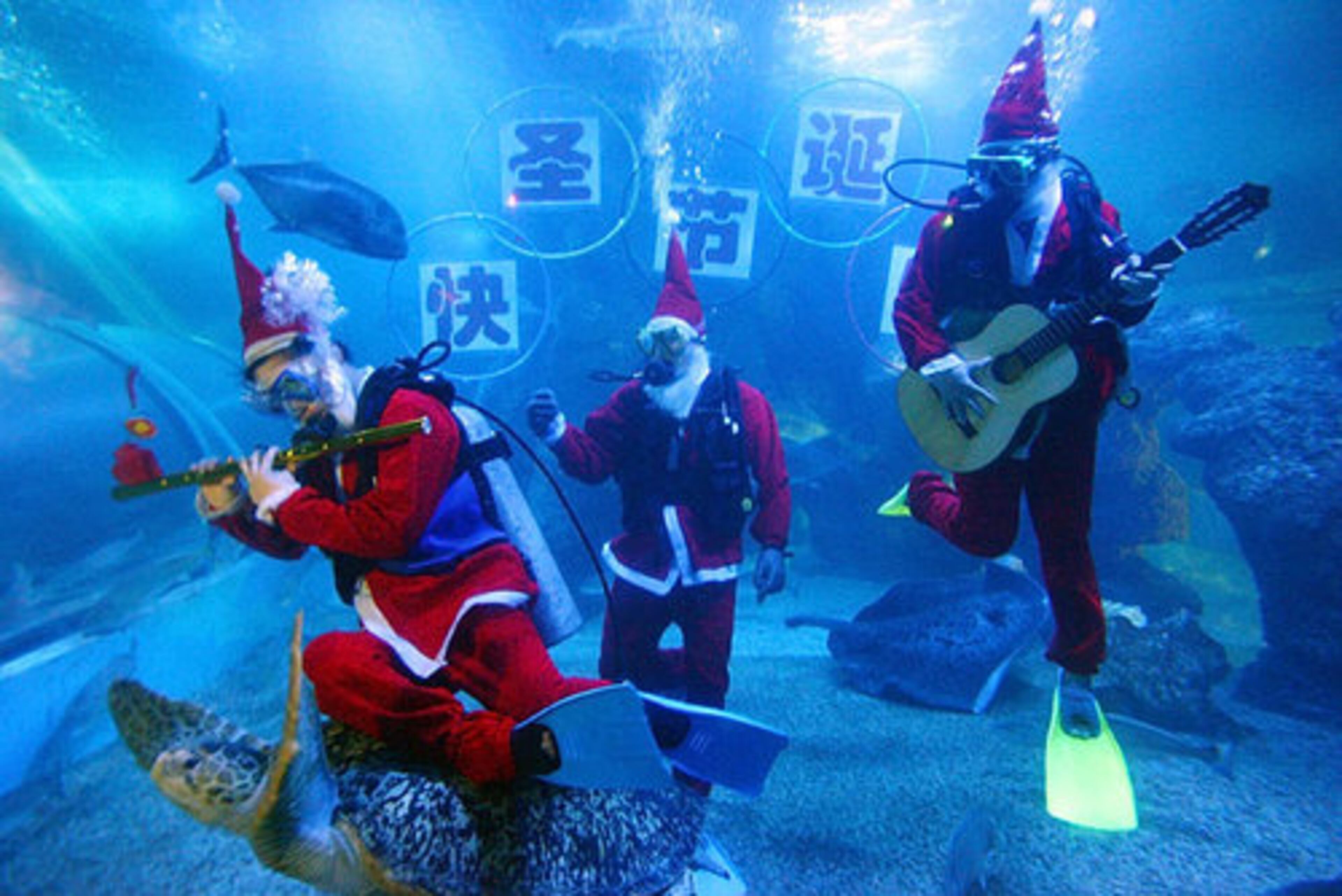 Santa Claus also knows how to rock out underwater as they perform in a turtle aquarium at an ocean park in Fuzhou, China.