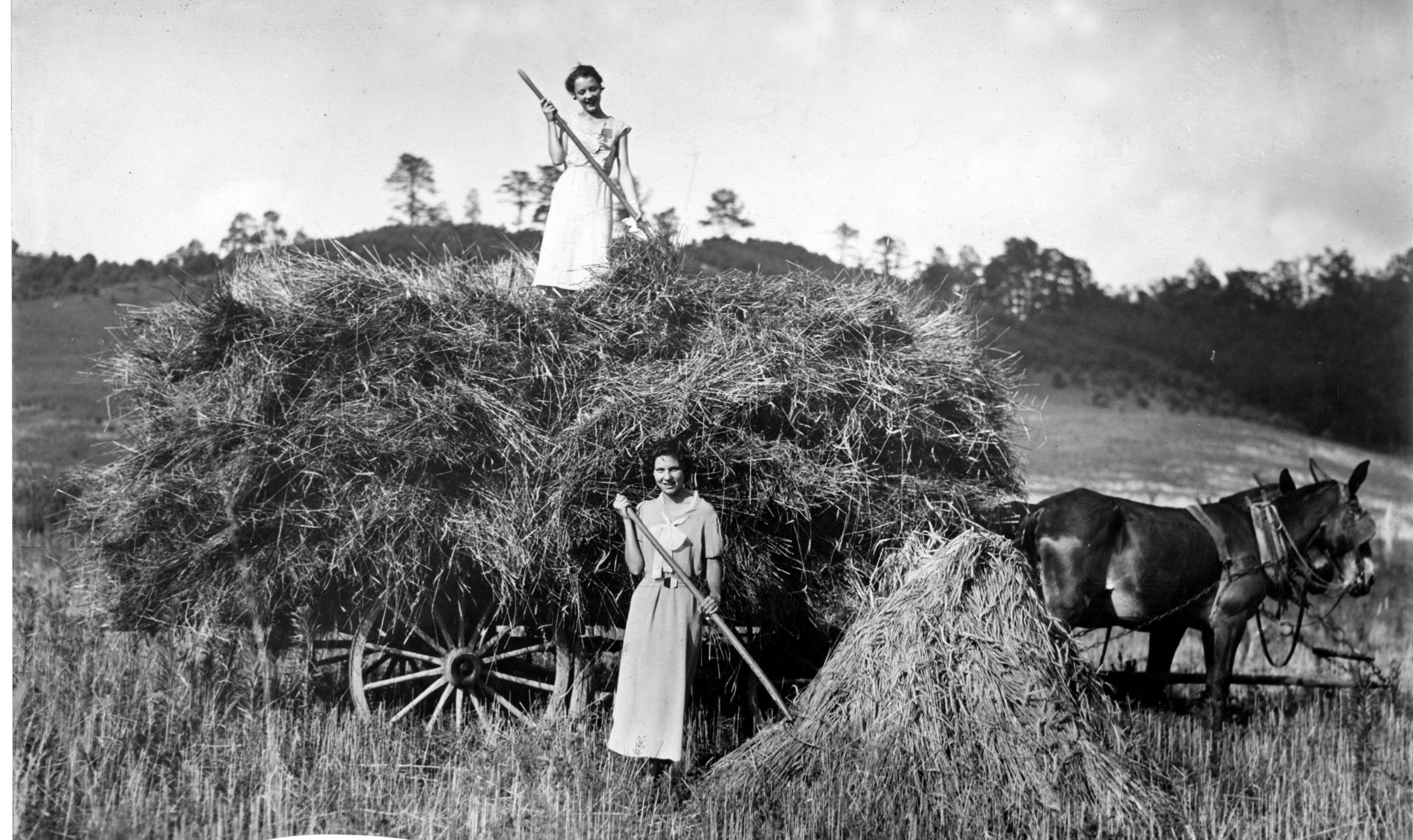 Original caption: "1933 -- Miss Marlon Joiner, of Coleman, Ga., and Miss Doris Bunch, of Lincolnton, Ga., try their hand at loading hay in Wolf Fork Valley, Ga."