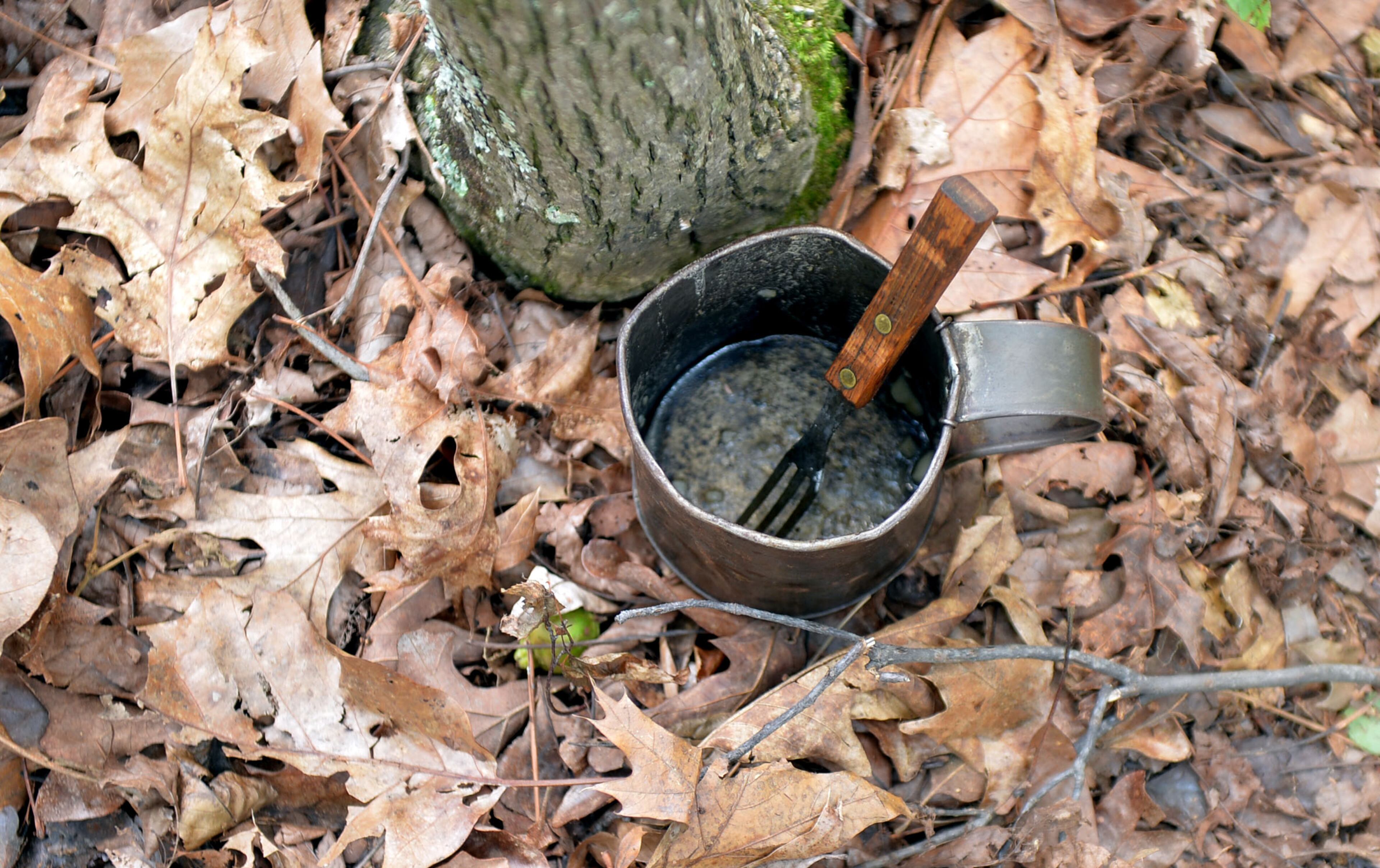 A soldiers cup and fork are seen in the park Friday, June 27, 2014.