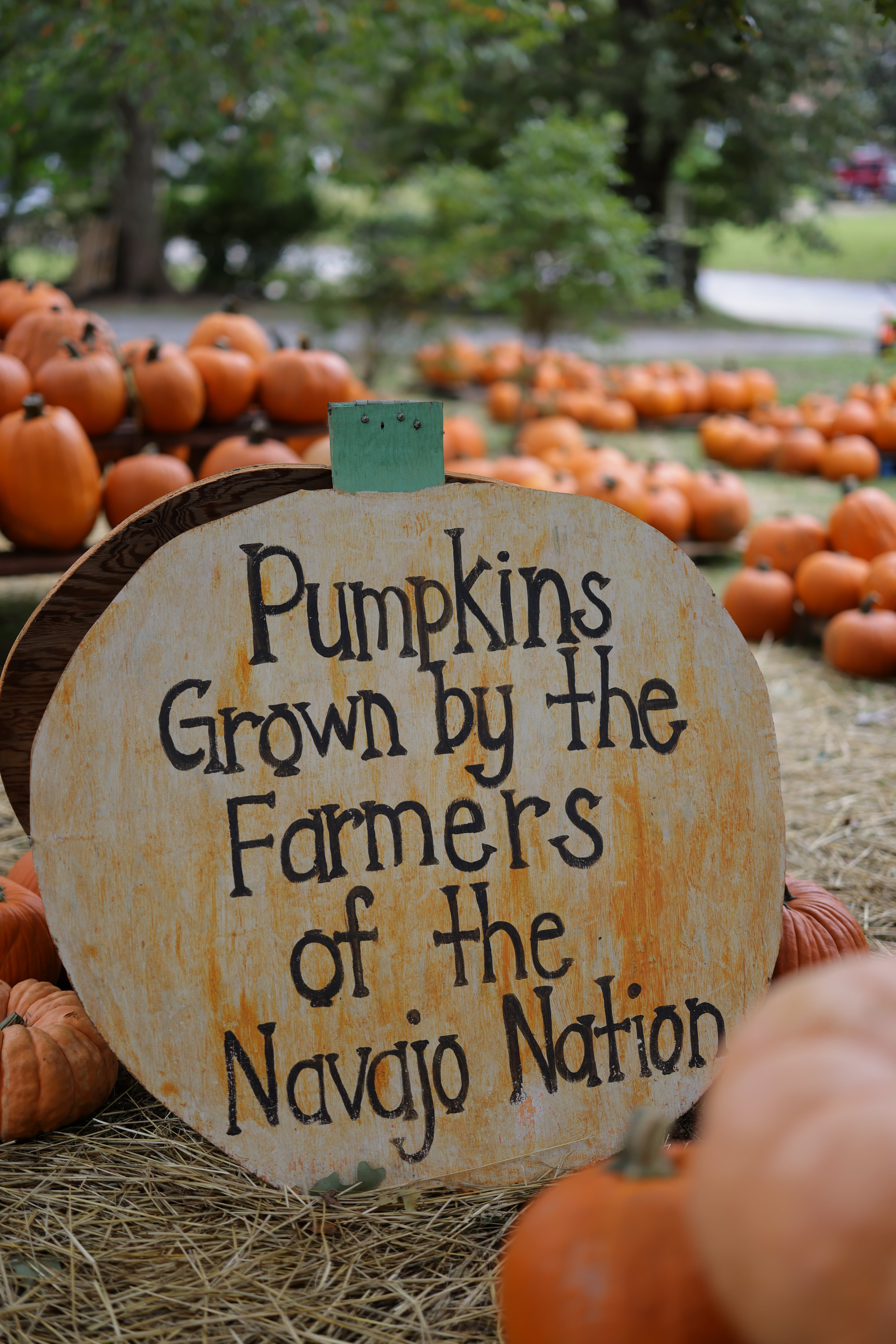 Head to the East Atlanta Nature Sanctuary Fall Festival for a pumpkin patch and mini market. (Courtesy of Phil Siegelman)