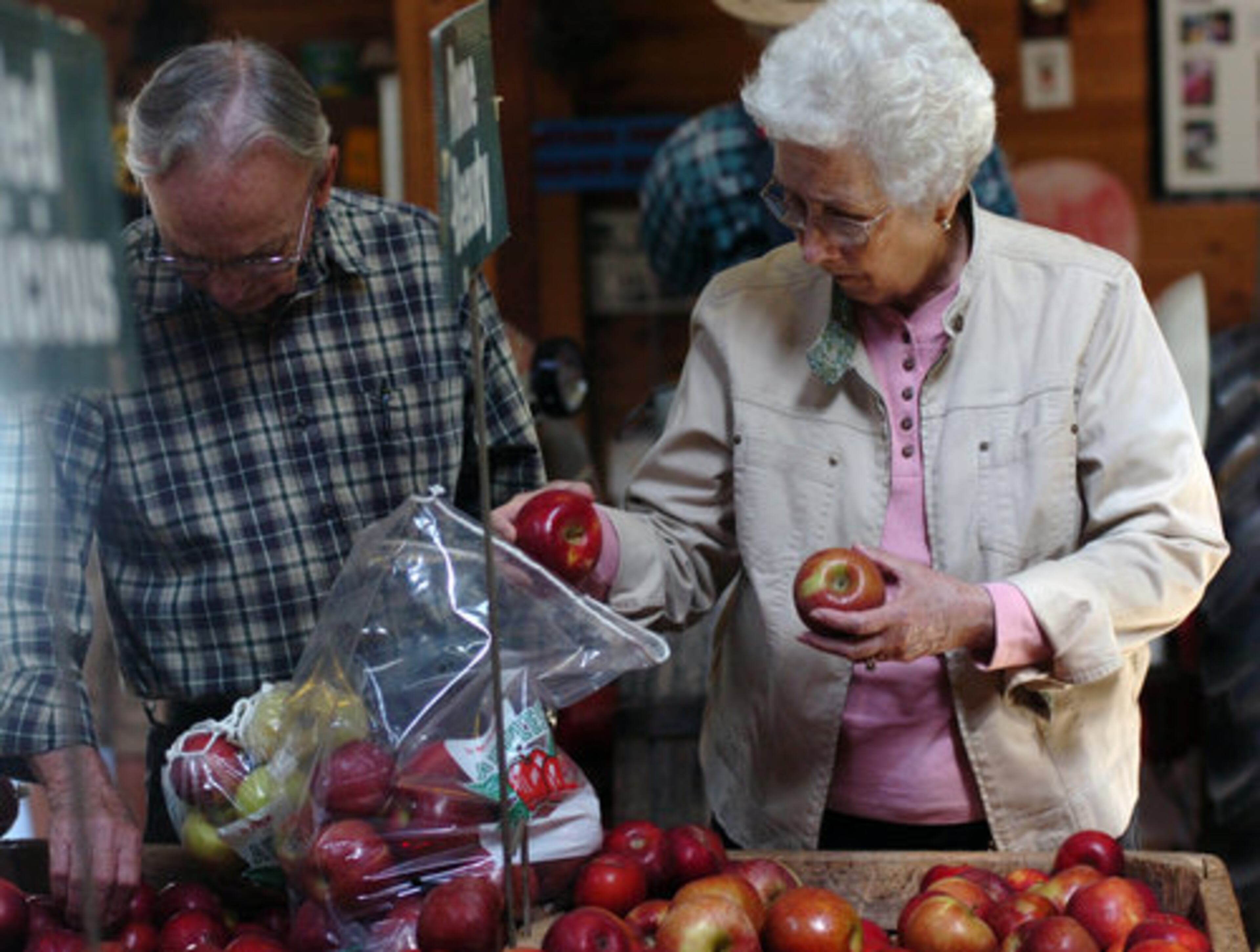 Lester and Vera Elder pick out Rome Beauties at Hillcrest Orchards. www.hillcrestorchards.net