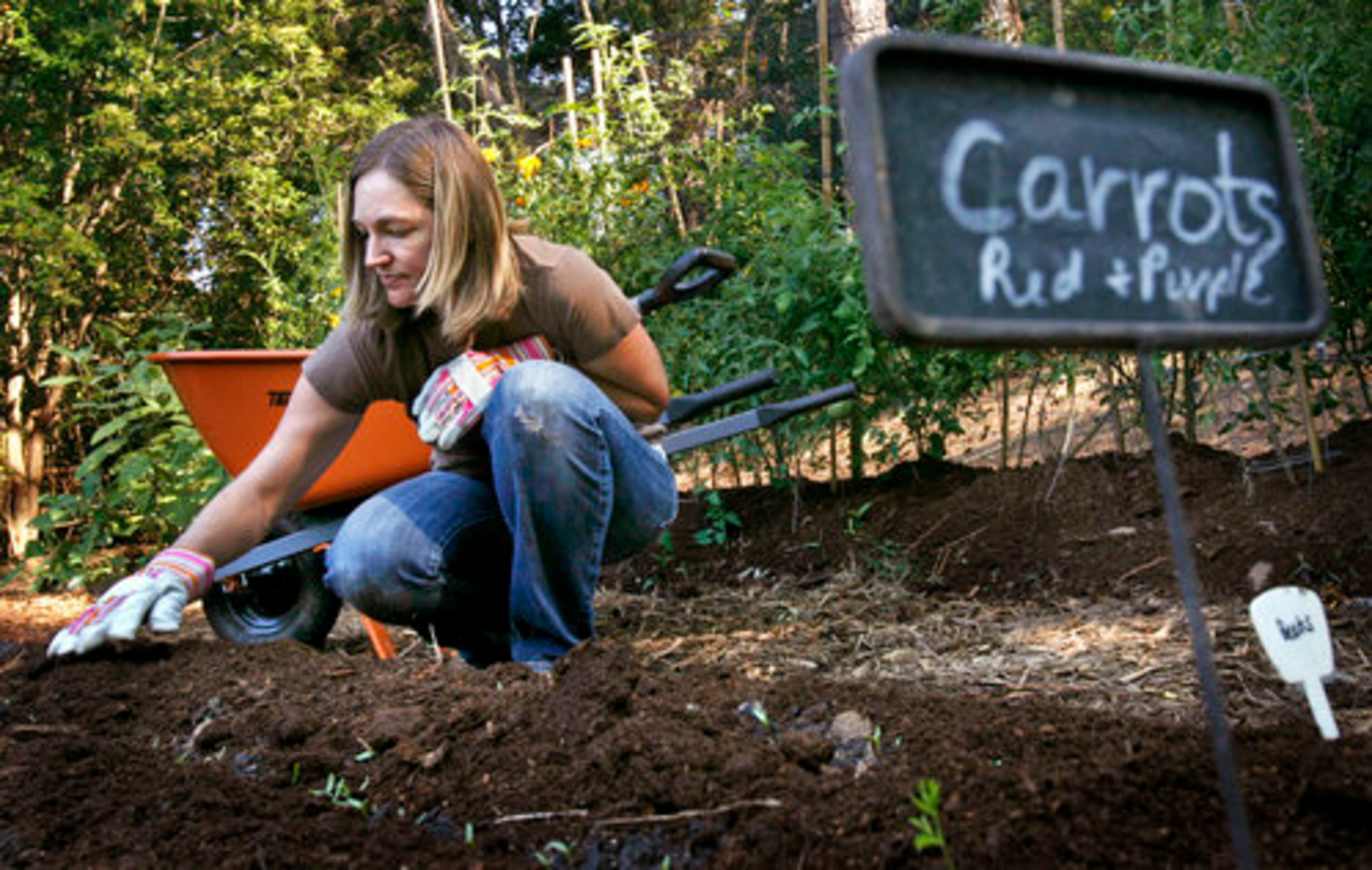Kristin Allin spreads soil on a freshly planted red and purple carrots in her family's garden. The Allins' garden is one of the gardens featured in the Decatur Garden Tour.