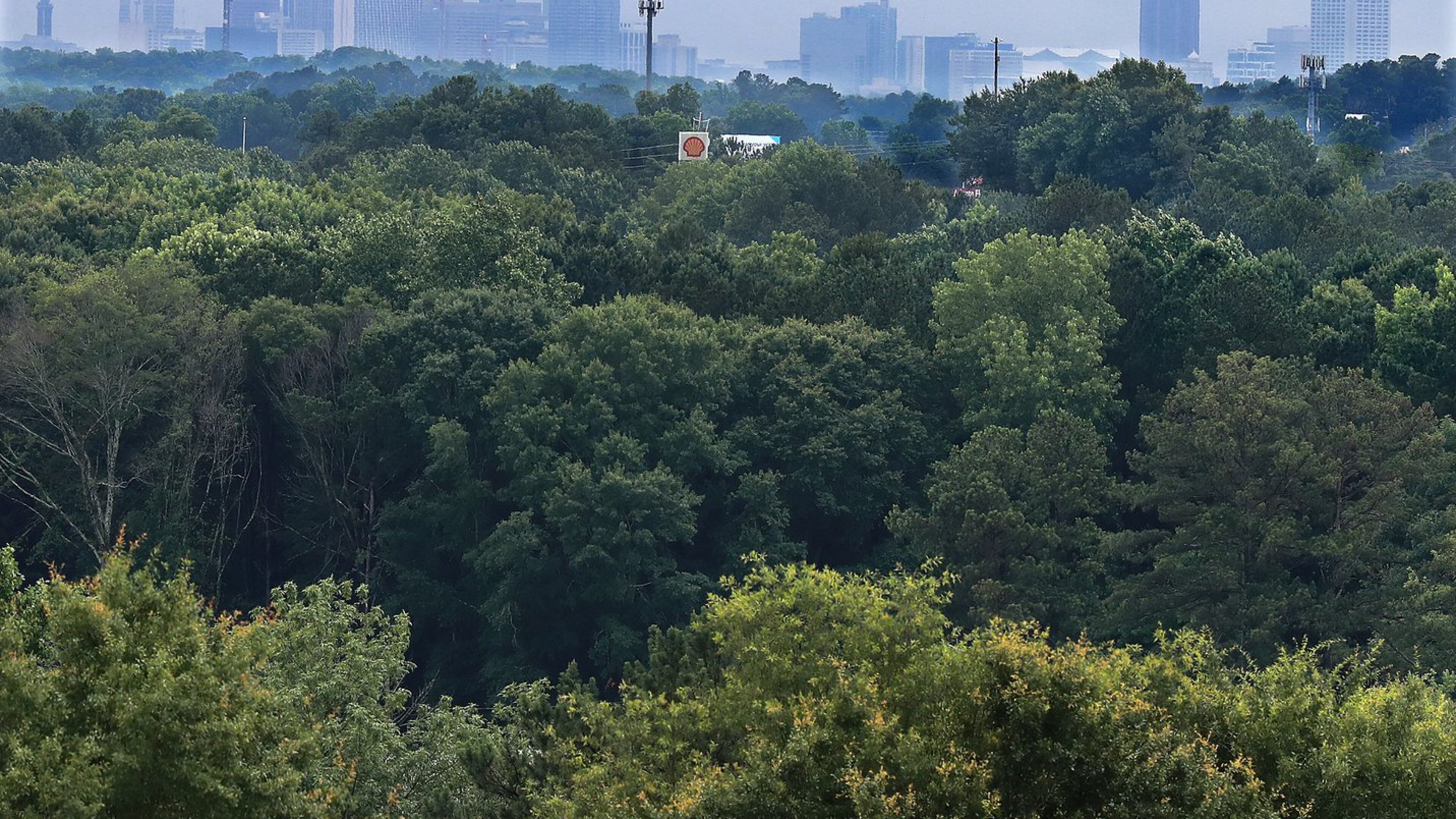 The Atlanta skyline is seen over a tree canopy from the top of Spaghetti Junction at I-285. Atlanta has 47.9% of land within Atlanta city limits that is shaded by urban tree canopy, according to a 2014 study from Georgia Tech. CURTIS COMPTON / CCOMPTON@AJC.COM