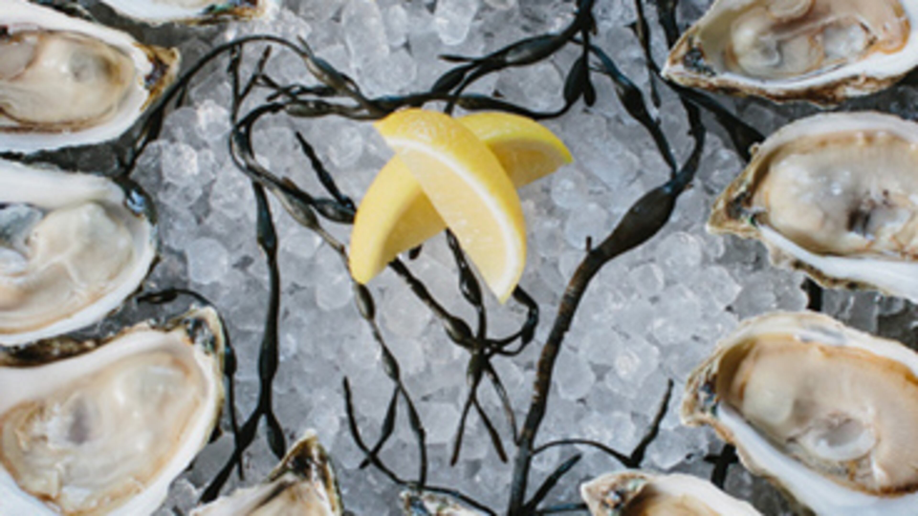 Enjoy the Raw Bar Happy Hour at Kimball House.