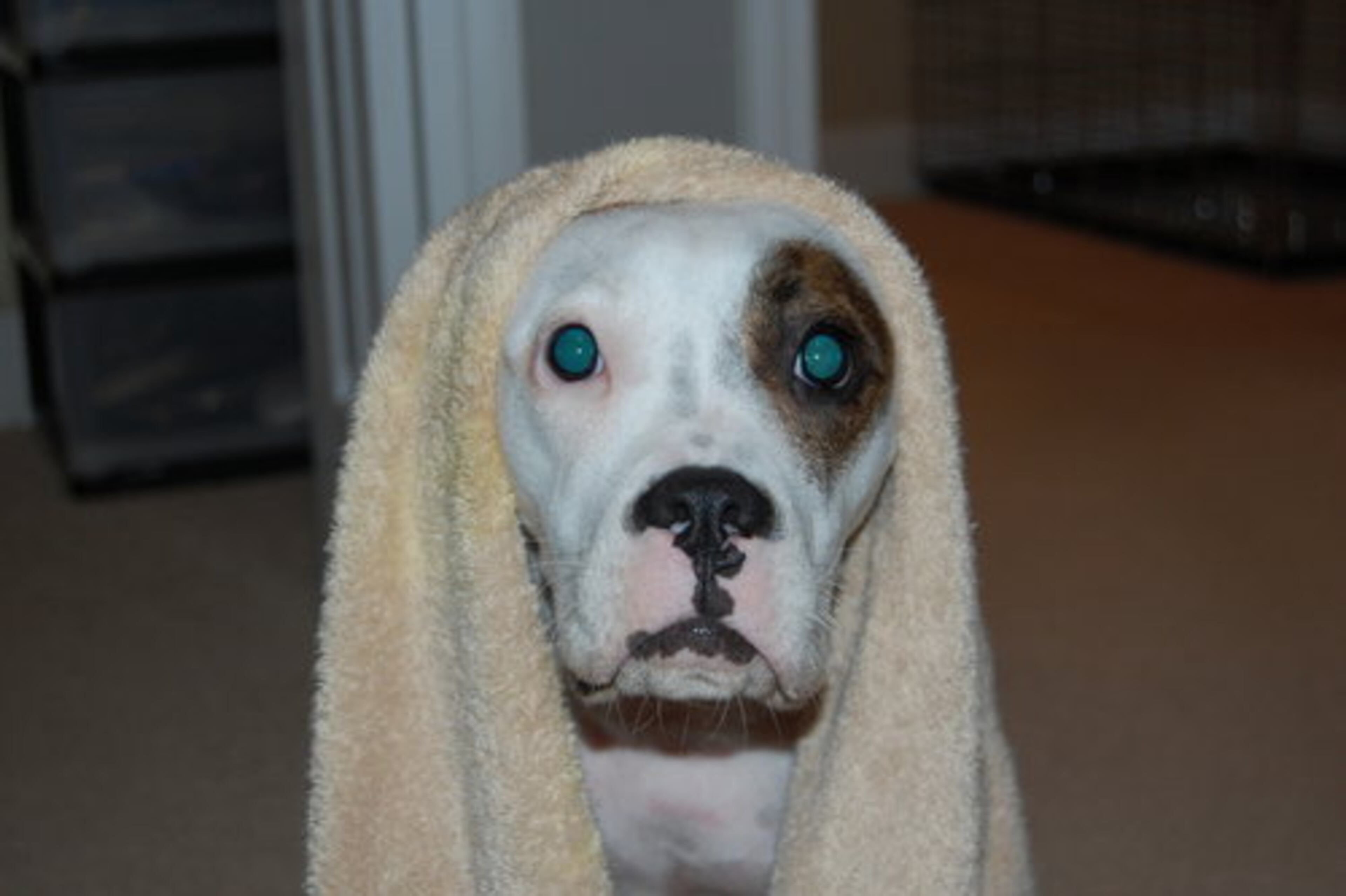 May this face haunt you whenever you run the faucet.