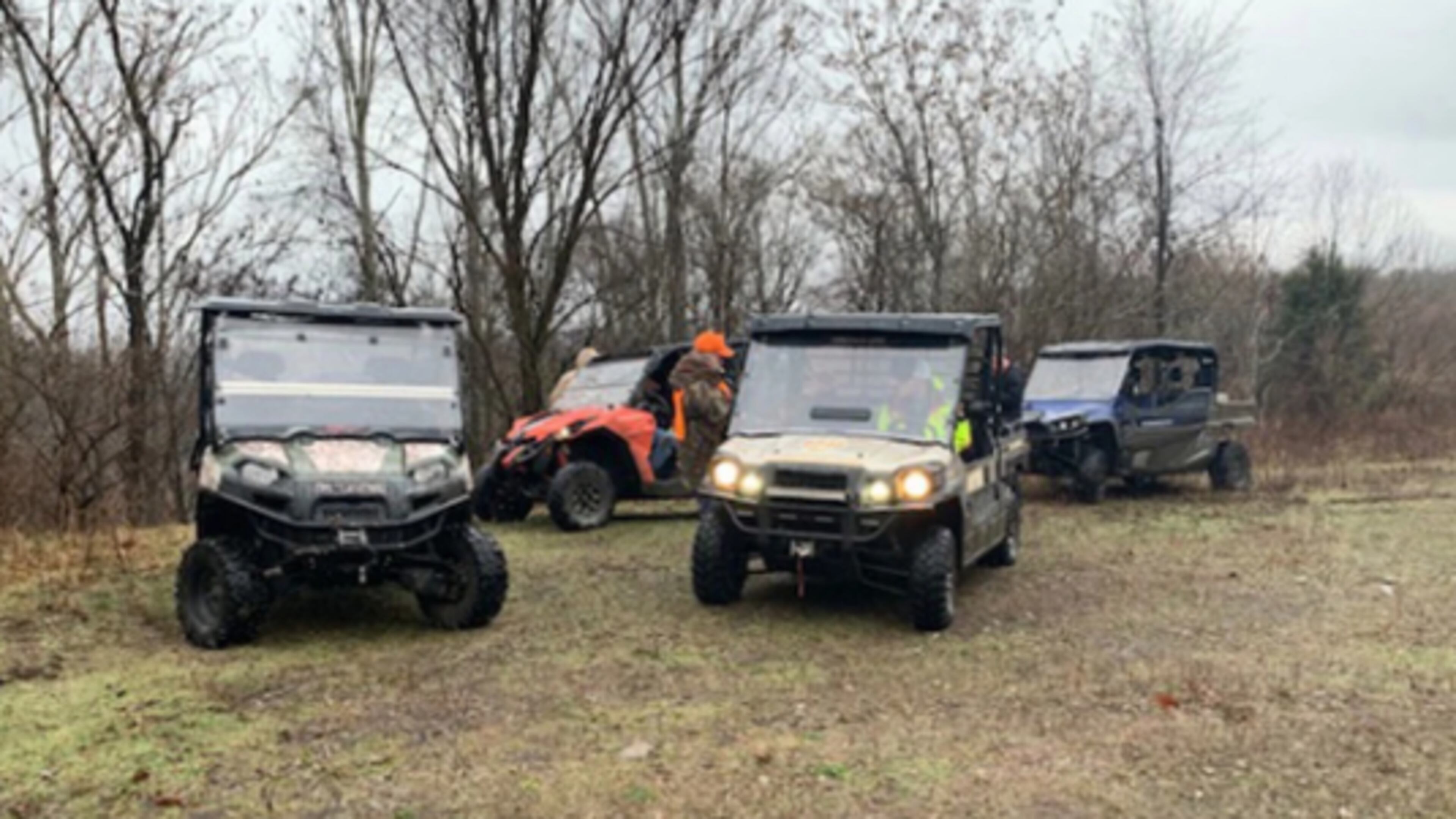 As many as 15 horses that roamed the hills of Eastern Kentucky were found shot to death early this week, and police have raised the reward to $15,000.