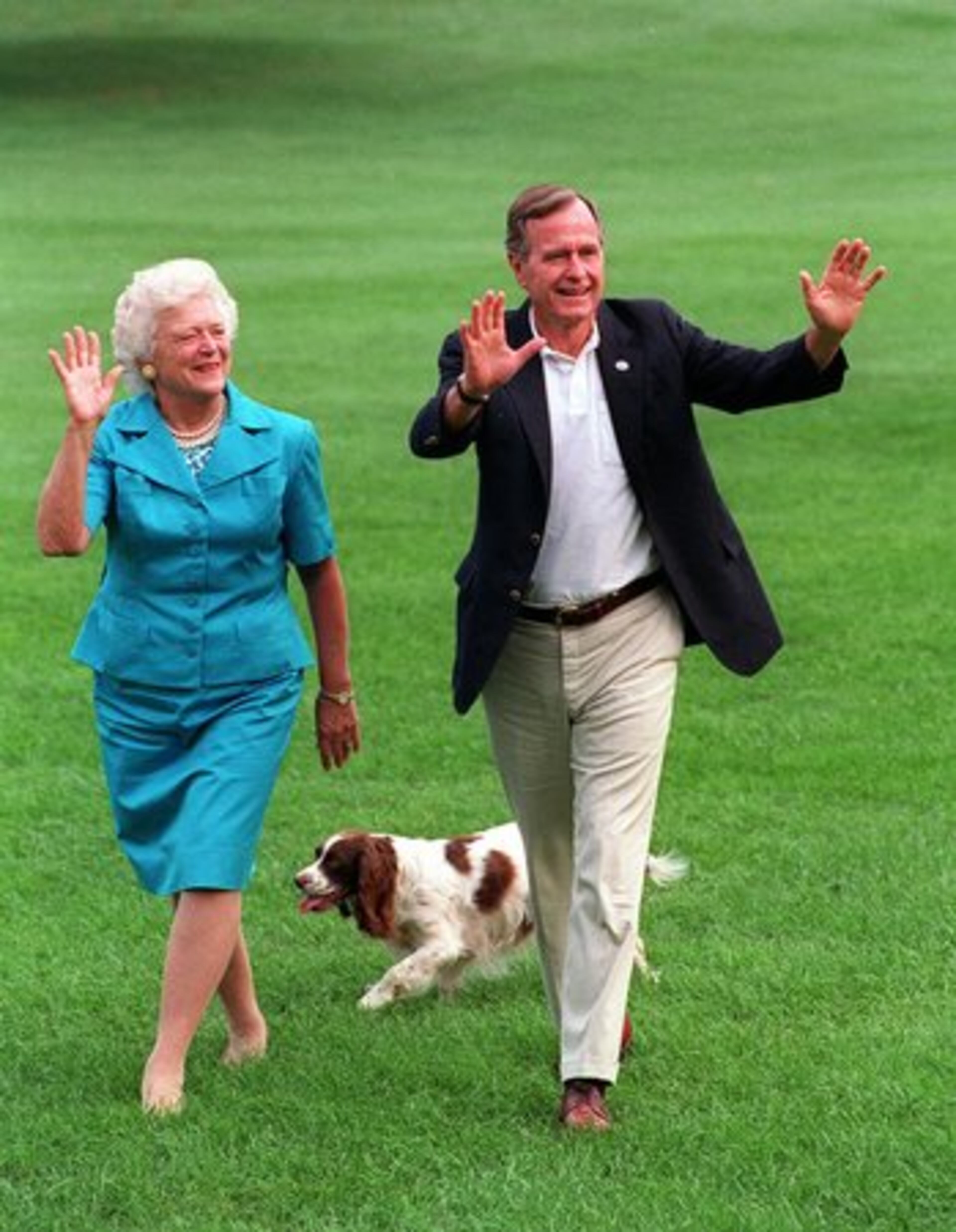 President George H. Bush and first lady Barbara Bush also owned a dog, Millie. She was a Springer Spaniel.