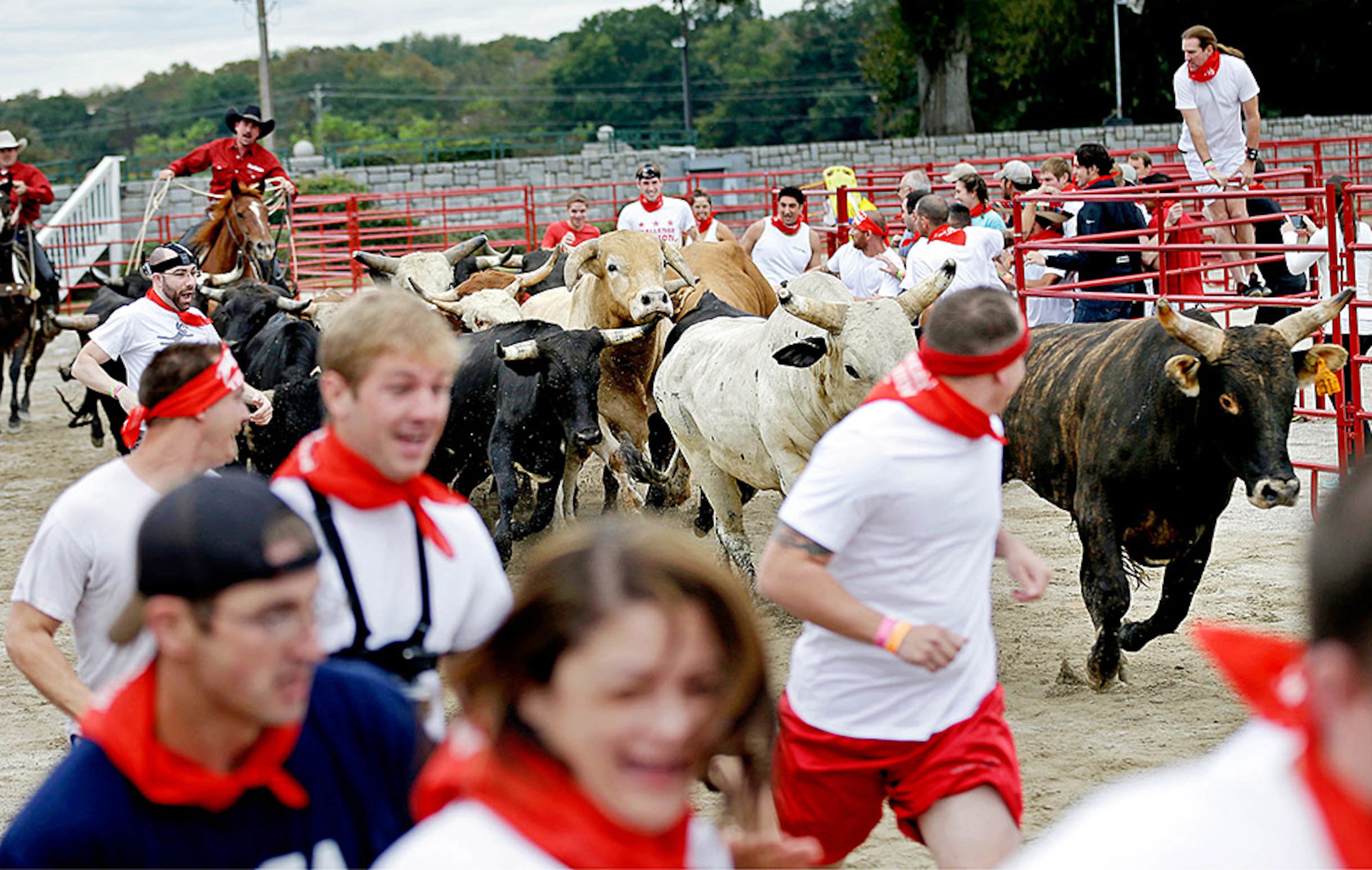 An Oct. 19, 2013, file photo shows participants running alongside charging bulls during the Great Bull Run at the Georgia International Horse Park in Conyers, Ga. The park, about 30 miles east of Atlanta, remains an equestrian and events center, with horse and mountain bike trails plus an Arnold Palmer-designed golf course open to the public. (AP Photo)