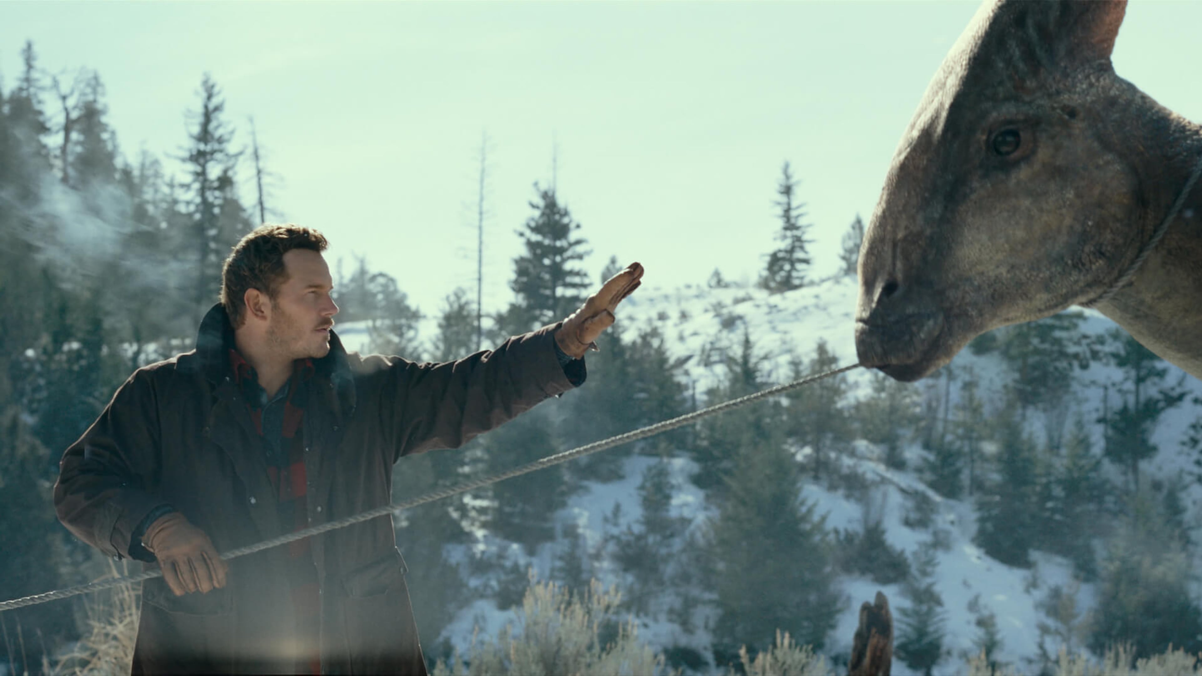 (Credit: Universal Pictures)